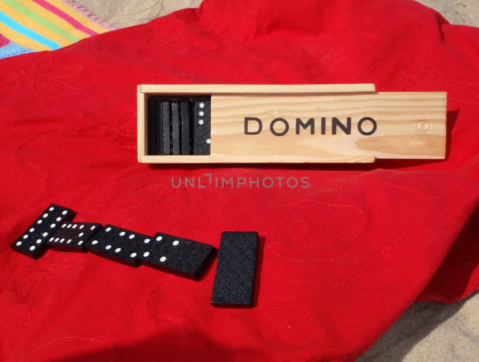 domino on red        