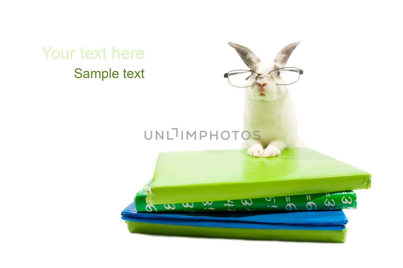 white rabbit with glasses is leaning on a stack of schoolbooks