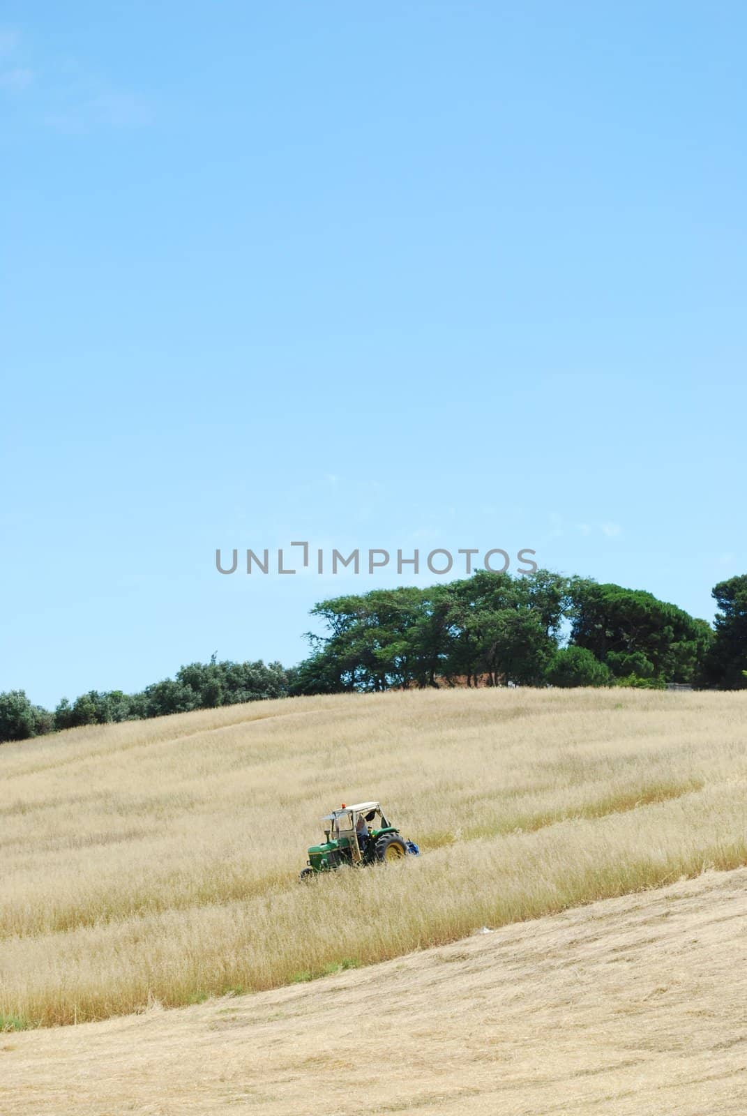 photo of a tractor harvesting on a wheat field