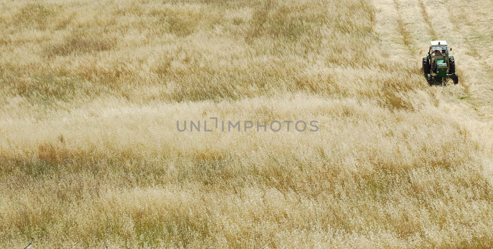 photo of a tractor harvesting on a wheat field