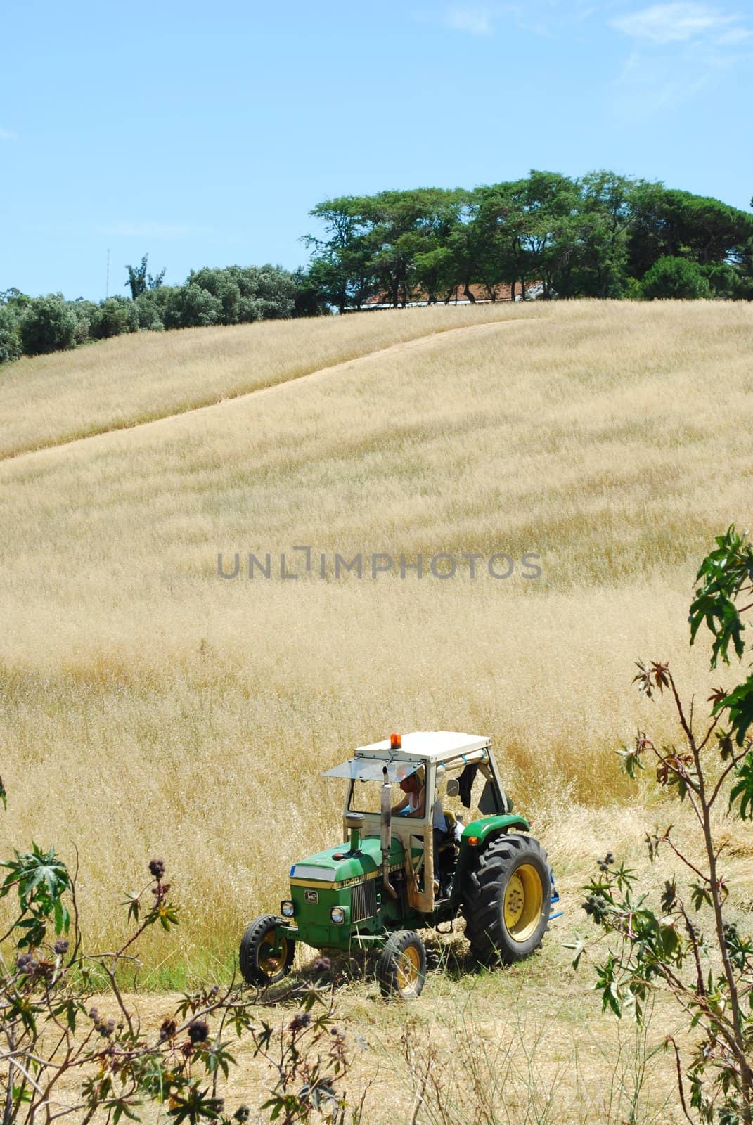 photo of a tractor harvesting on a wheat field