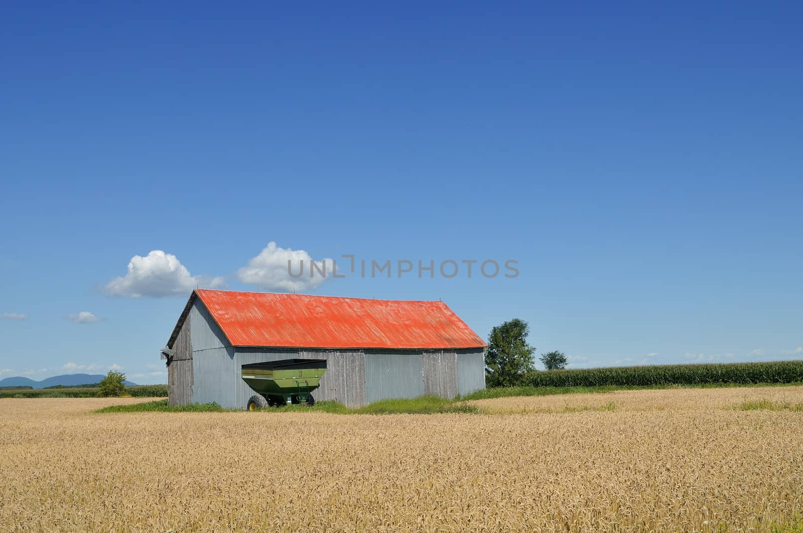 Red barn in wheat and corn fields