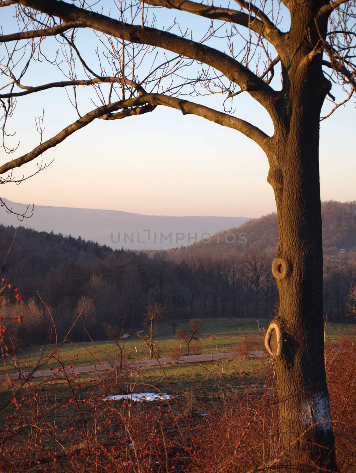 autumn landscape with natural window