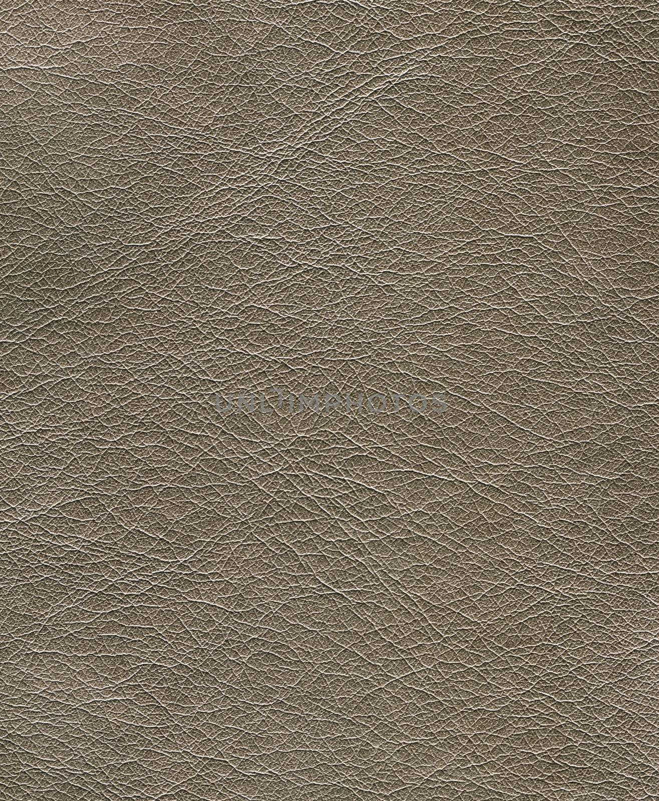 scanned texture of artificial leather