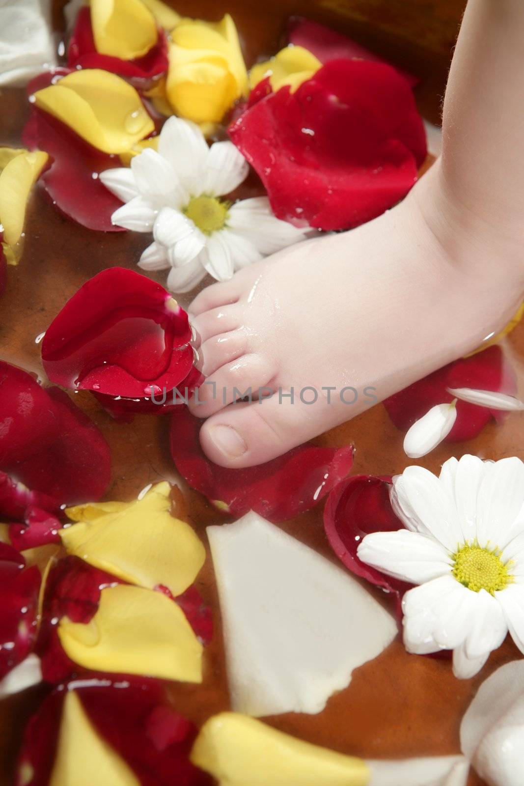 Aromatherapy, flowers feet bath, rose petal by lunamarina