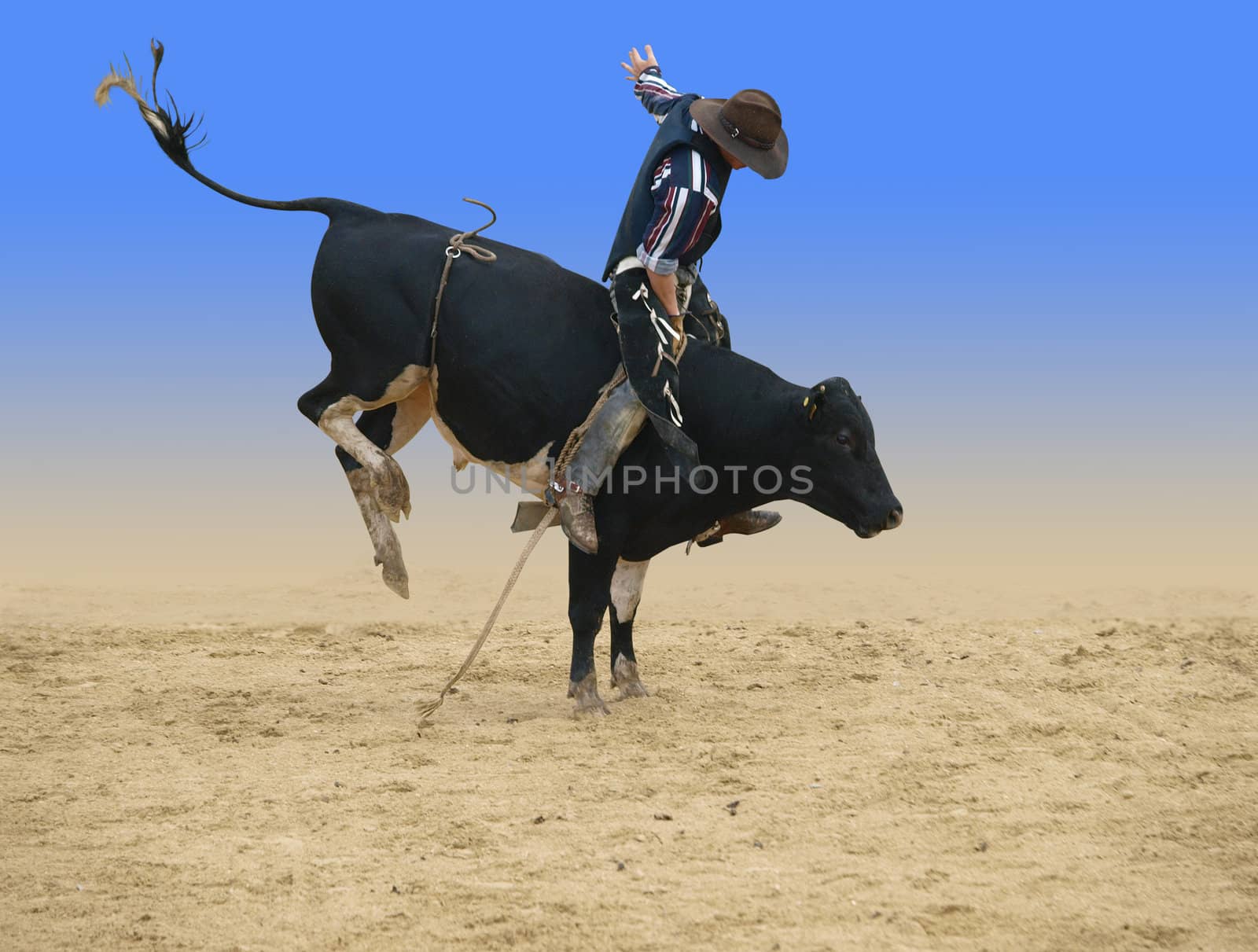 Bull Rider by MargoJH