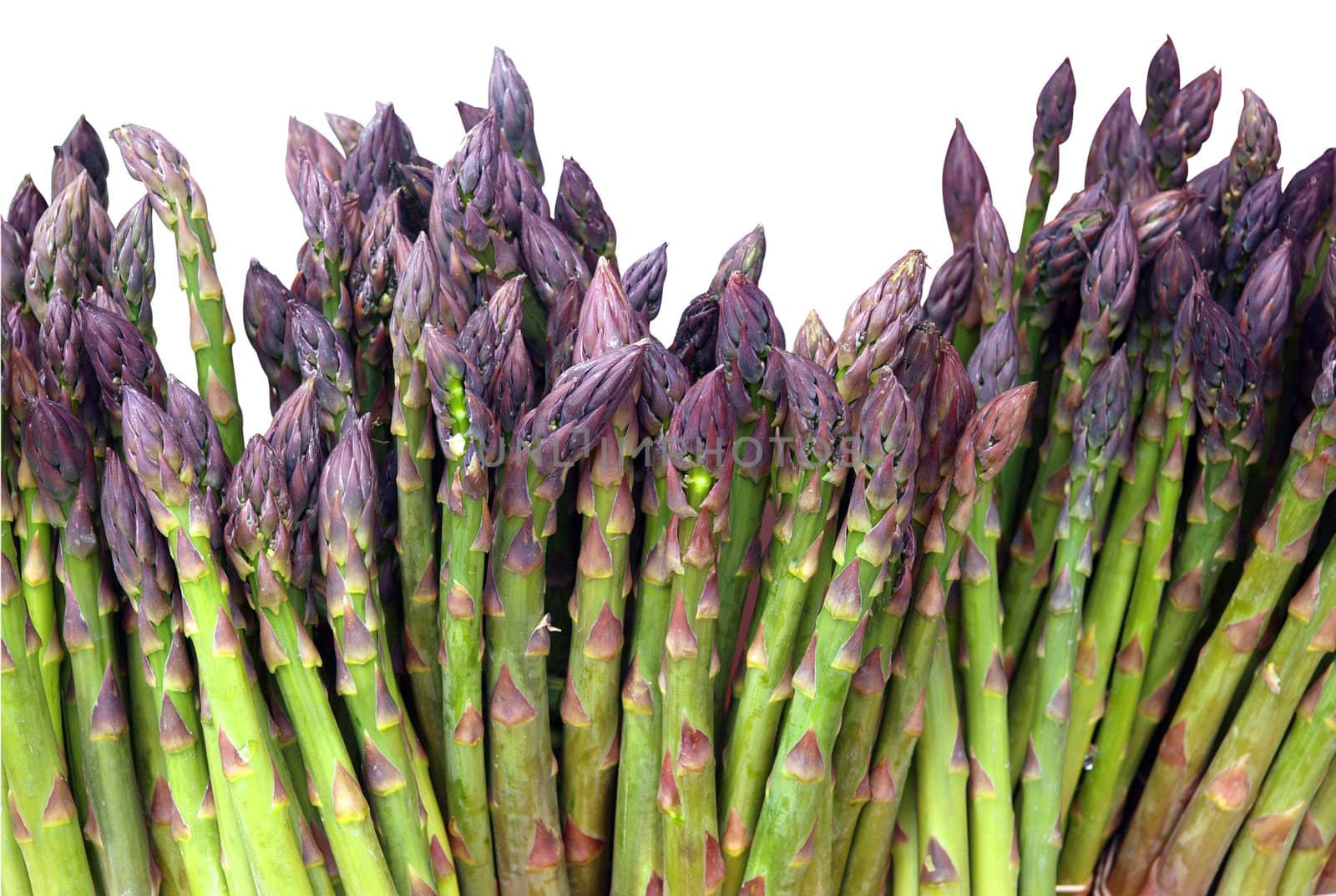 Asparagus isolated over white with clipping path