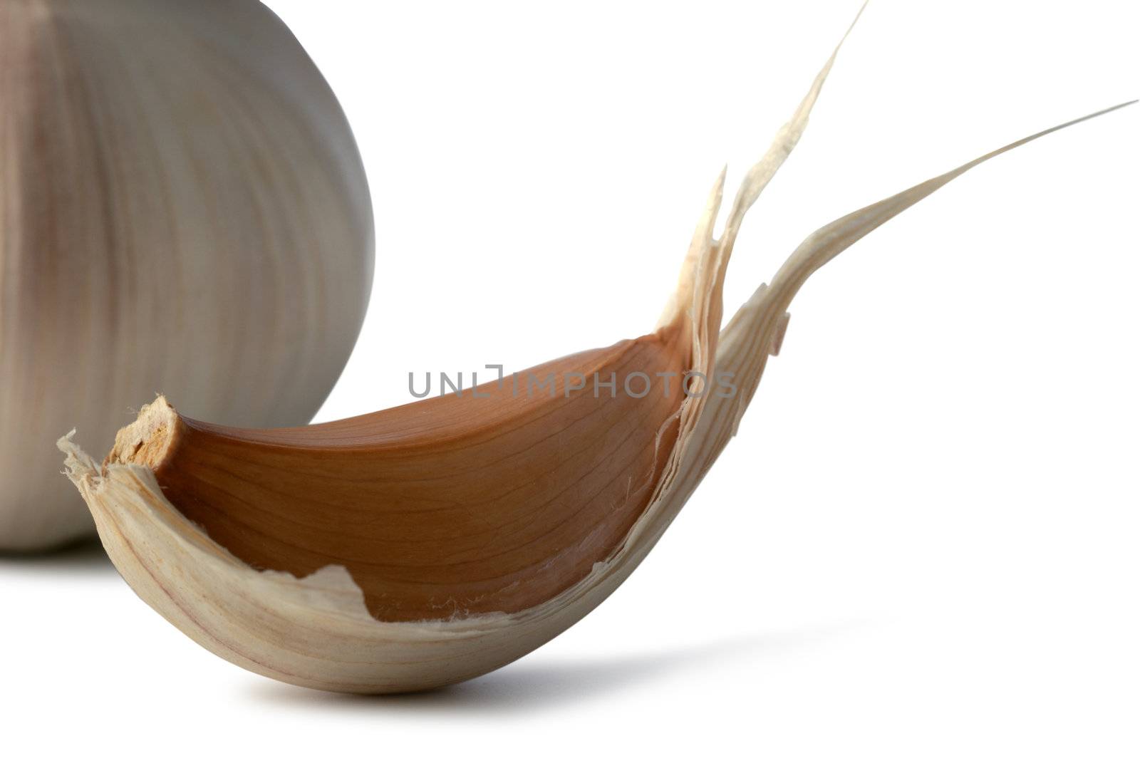 Garlic. A head of garlic isolated on a white background
