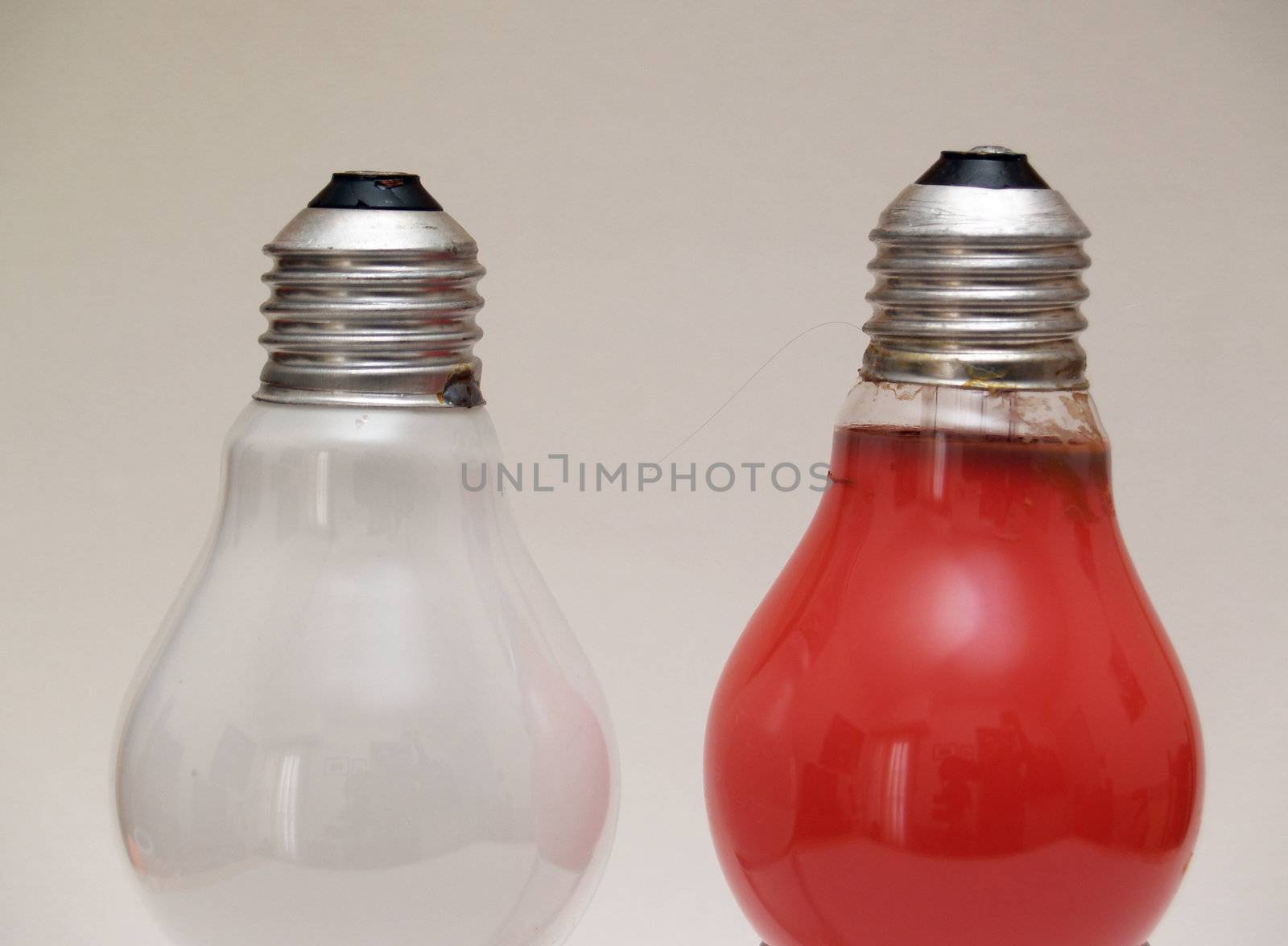 light bulbs by lauria