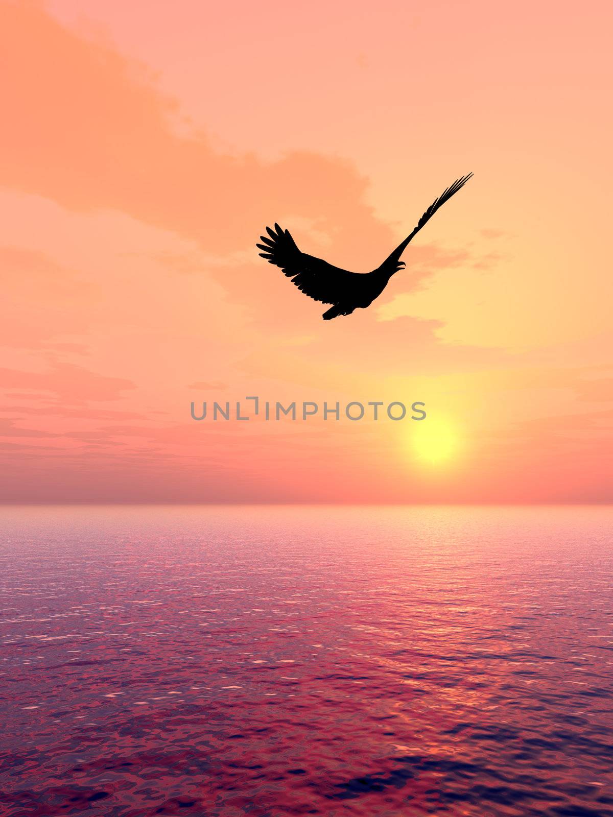 Eagle above oceans in beams red  sunset