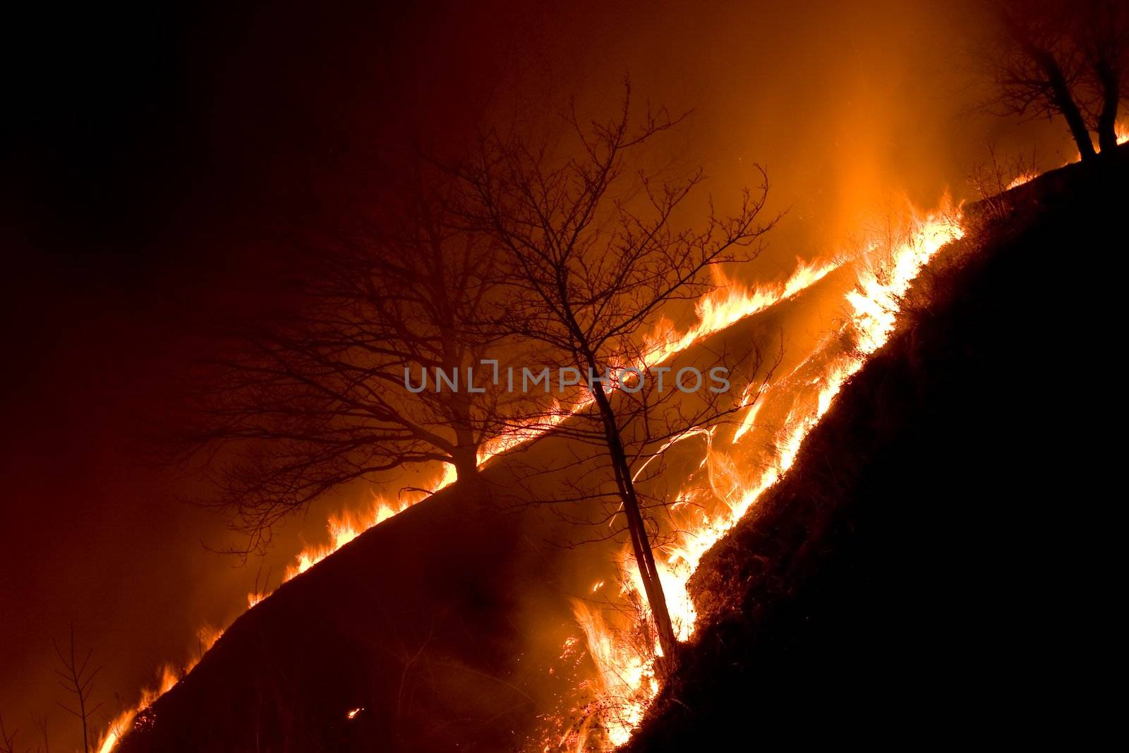 fire series: old dry grass fired in the night