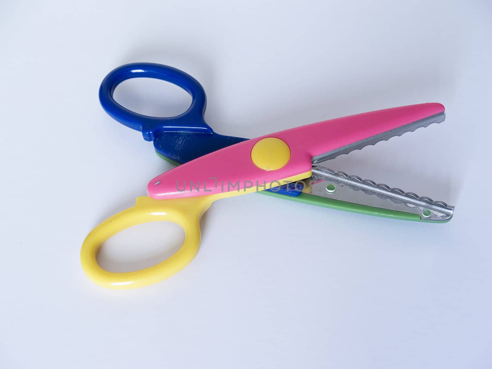 scissors by lauria