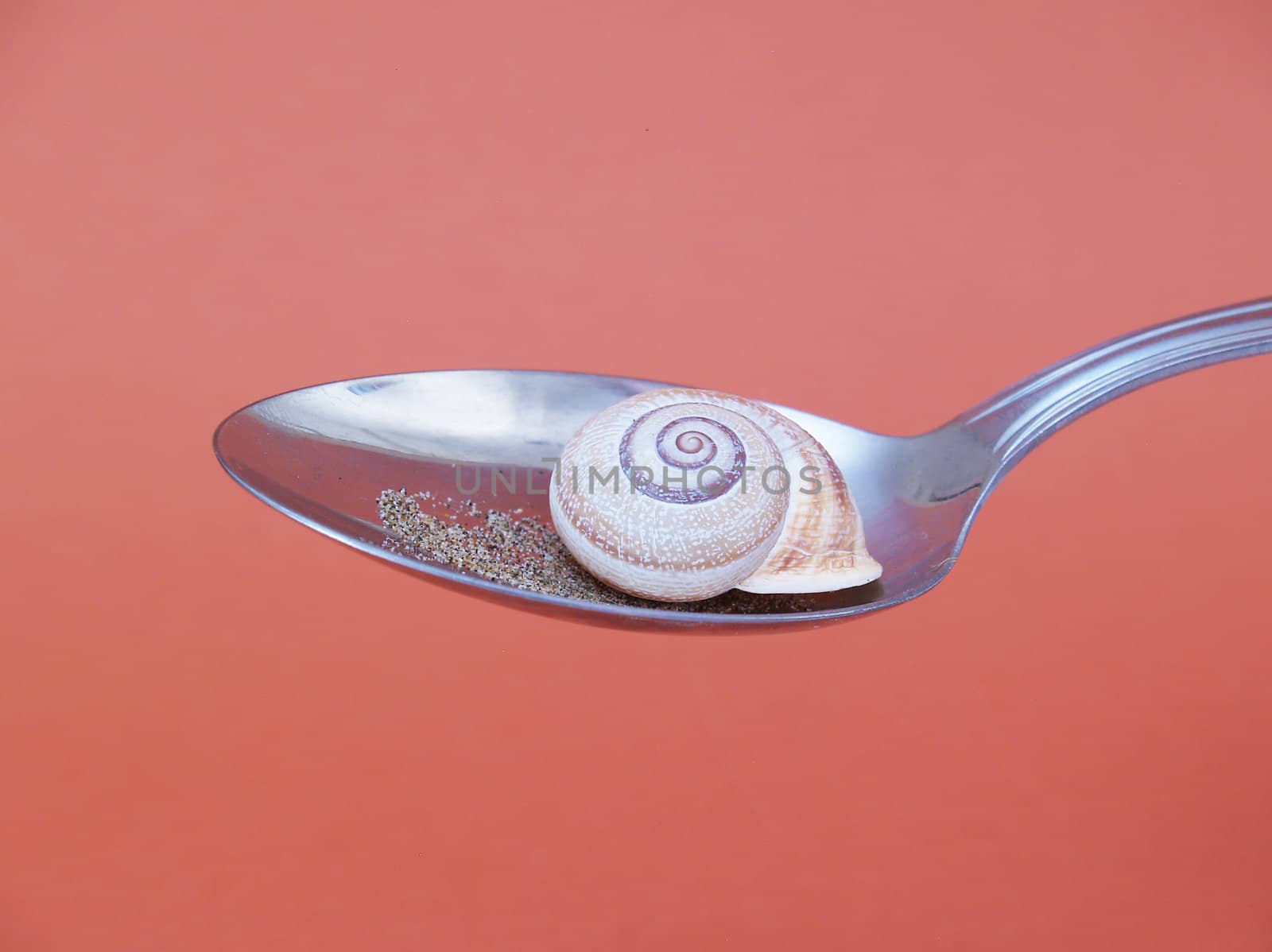 spoon with snail by lauria