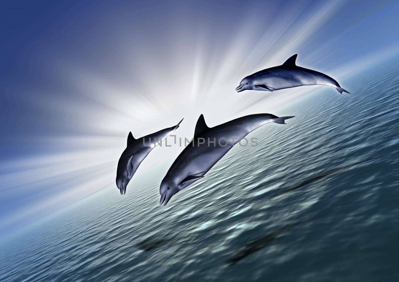 Three dolphin in very bright  sunrise (ocean) - In a diagonal arrangement of the cadre