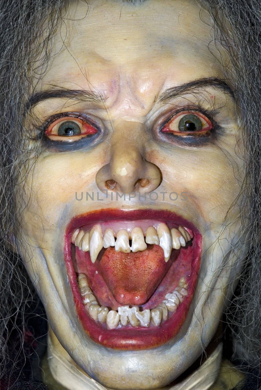 The face of the vampire. A wax figure of the woman - the vampire