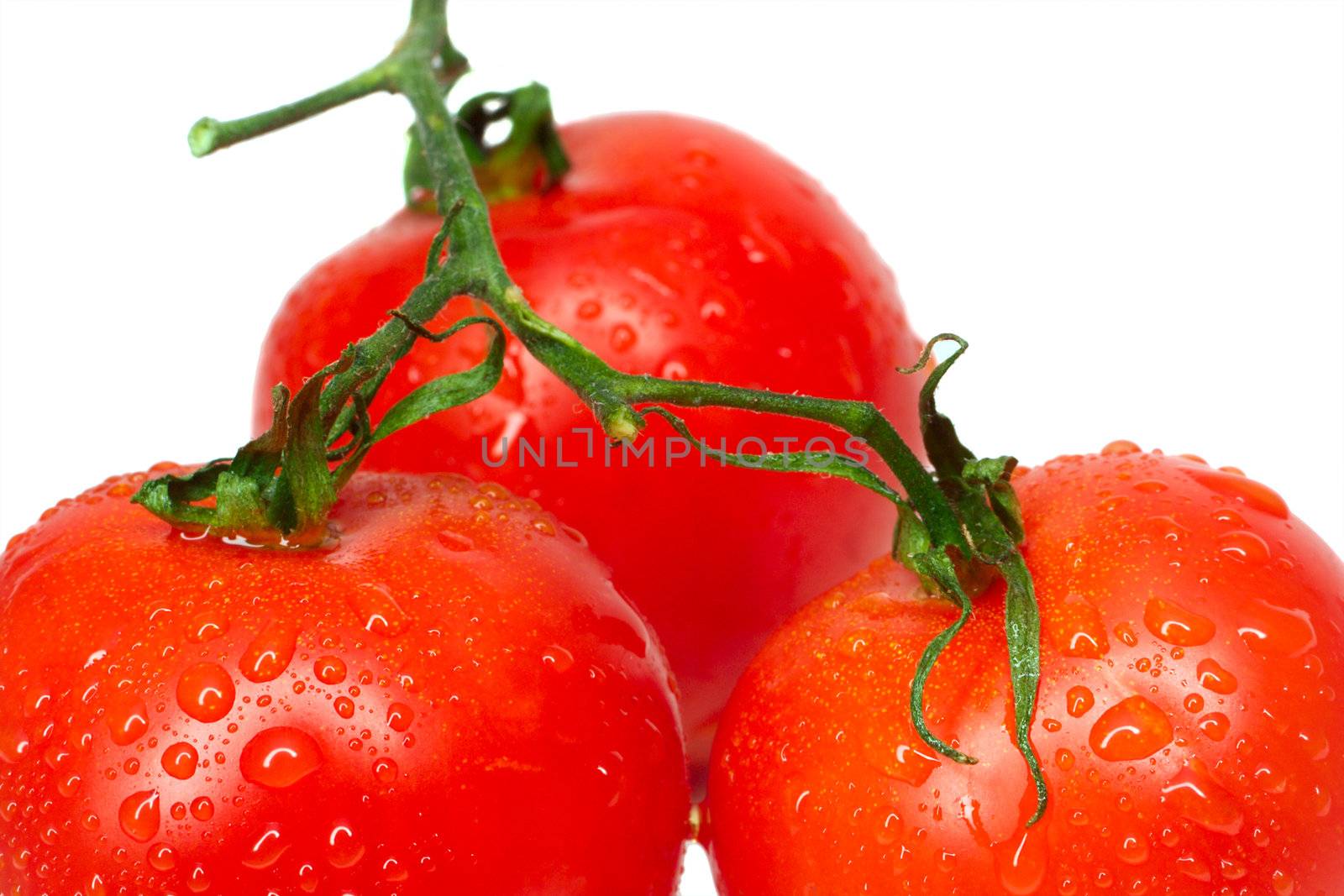 close-up three tomatoes with waterdrops, isolated on white