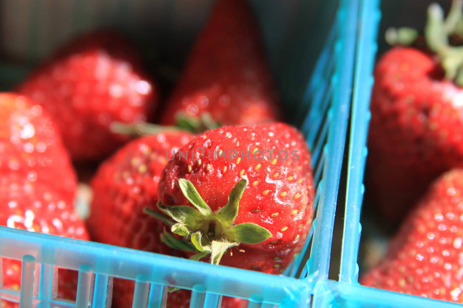 Close up of the strawberries.