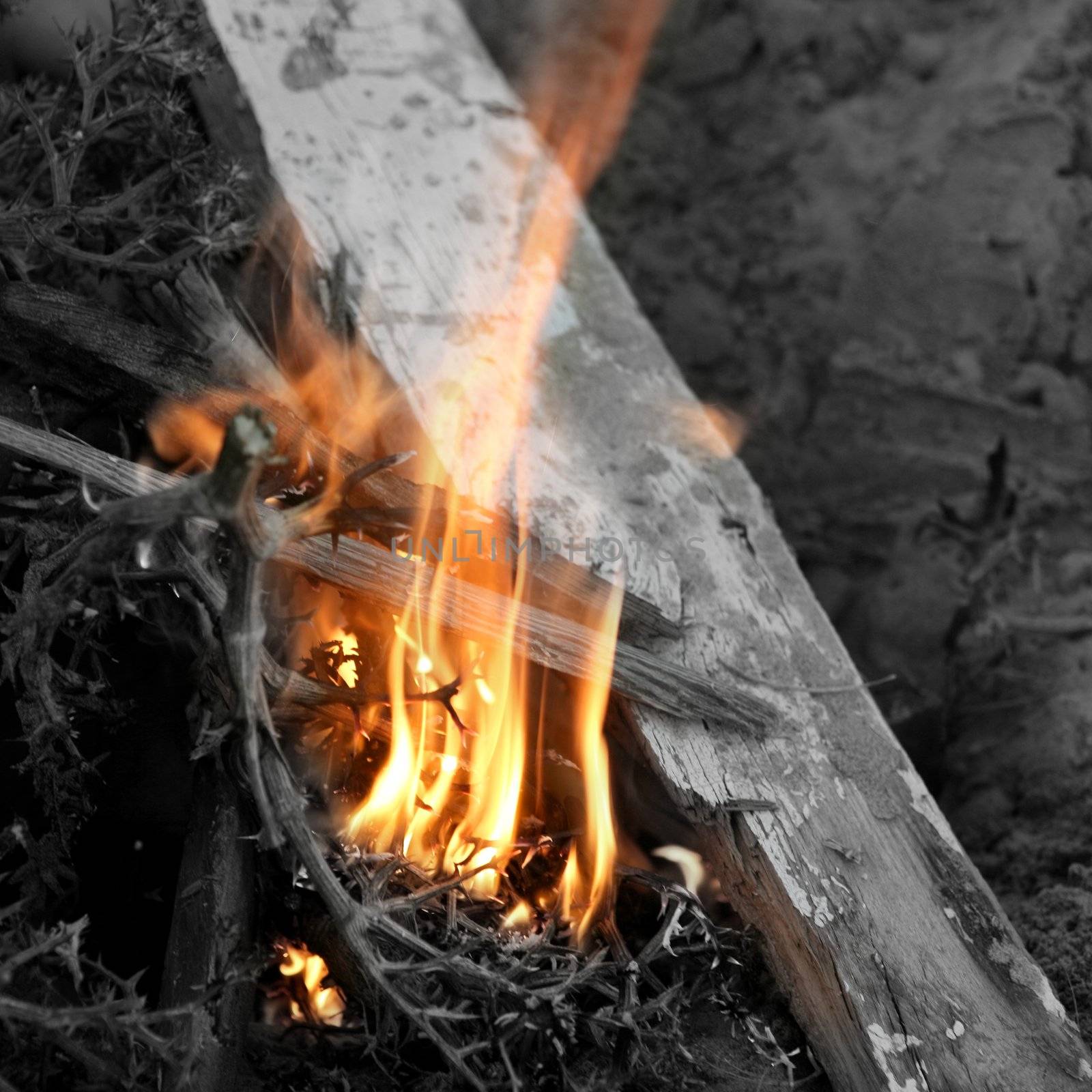 Embers texture, wood in fire by lunamarina