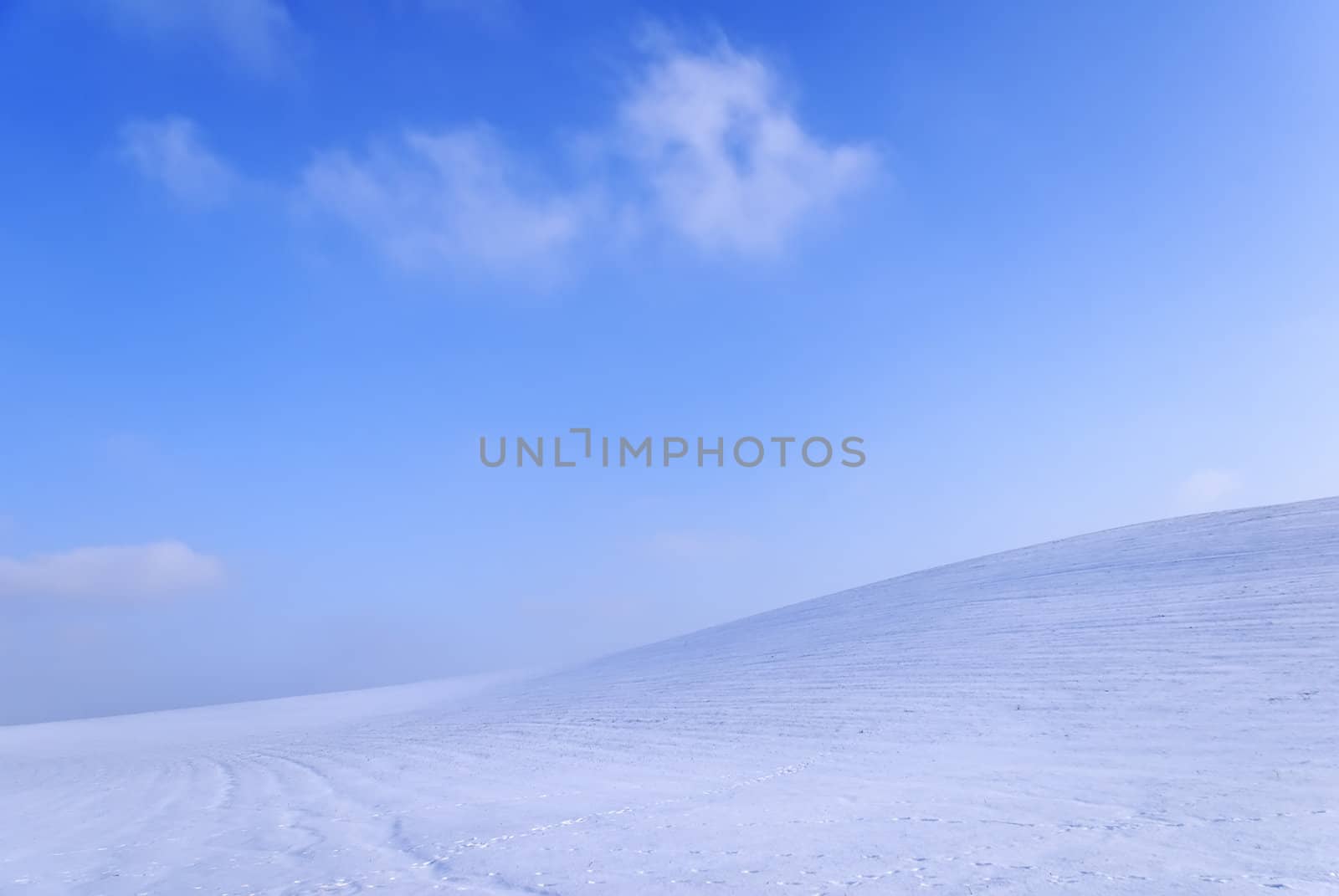 winter landscape