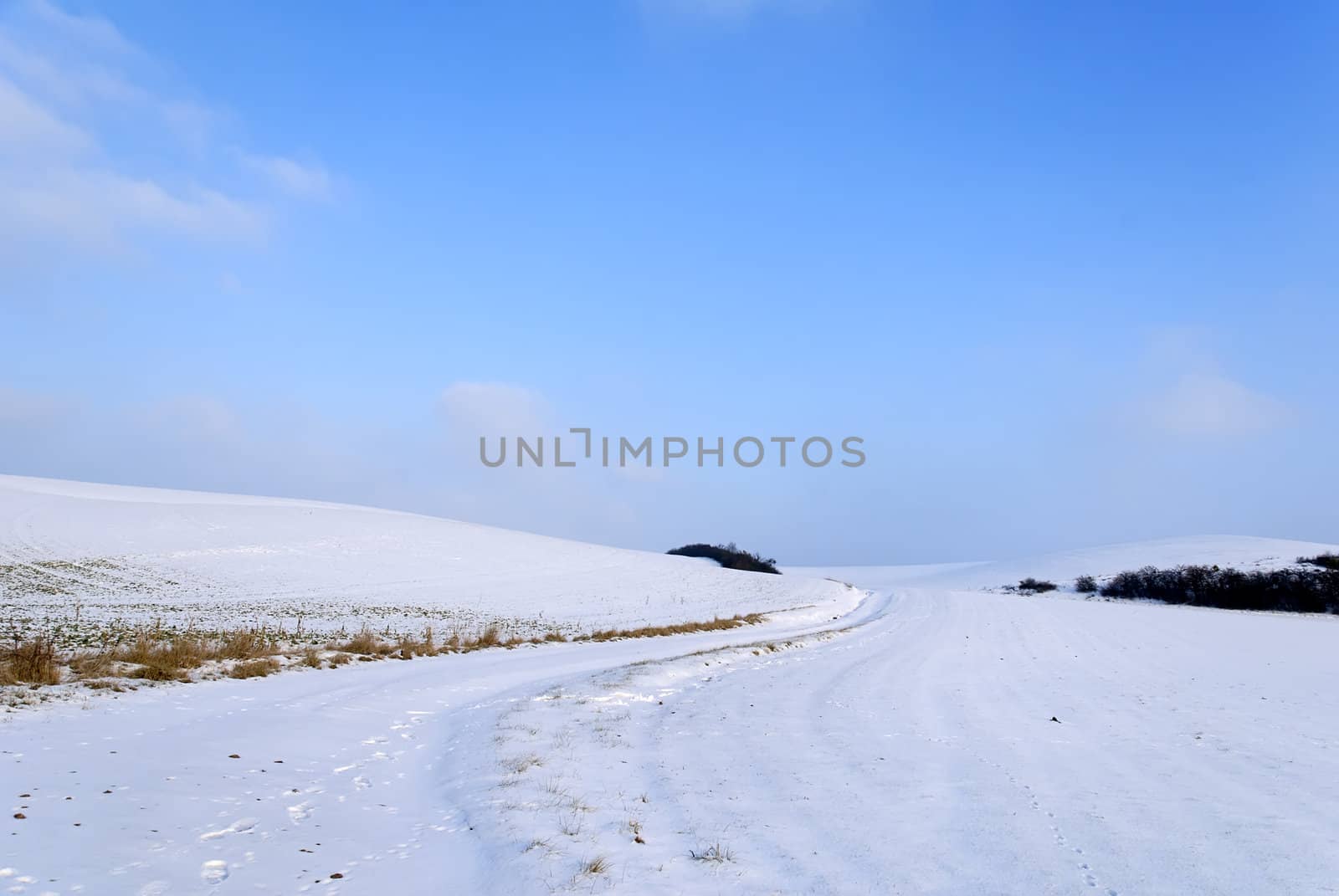 countryside covered with snow