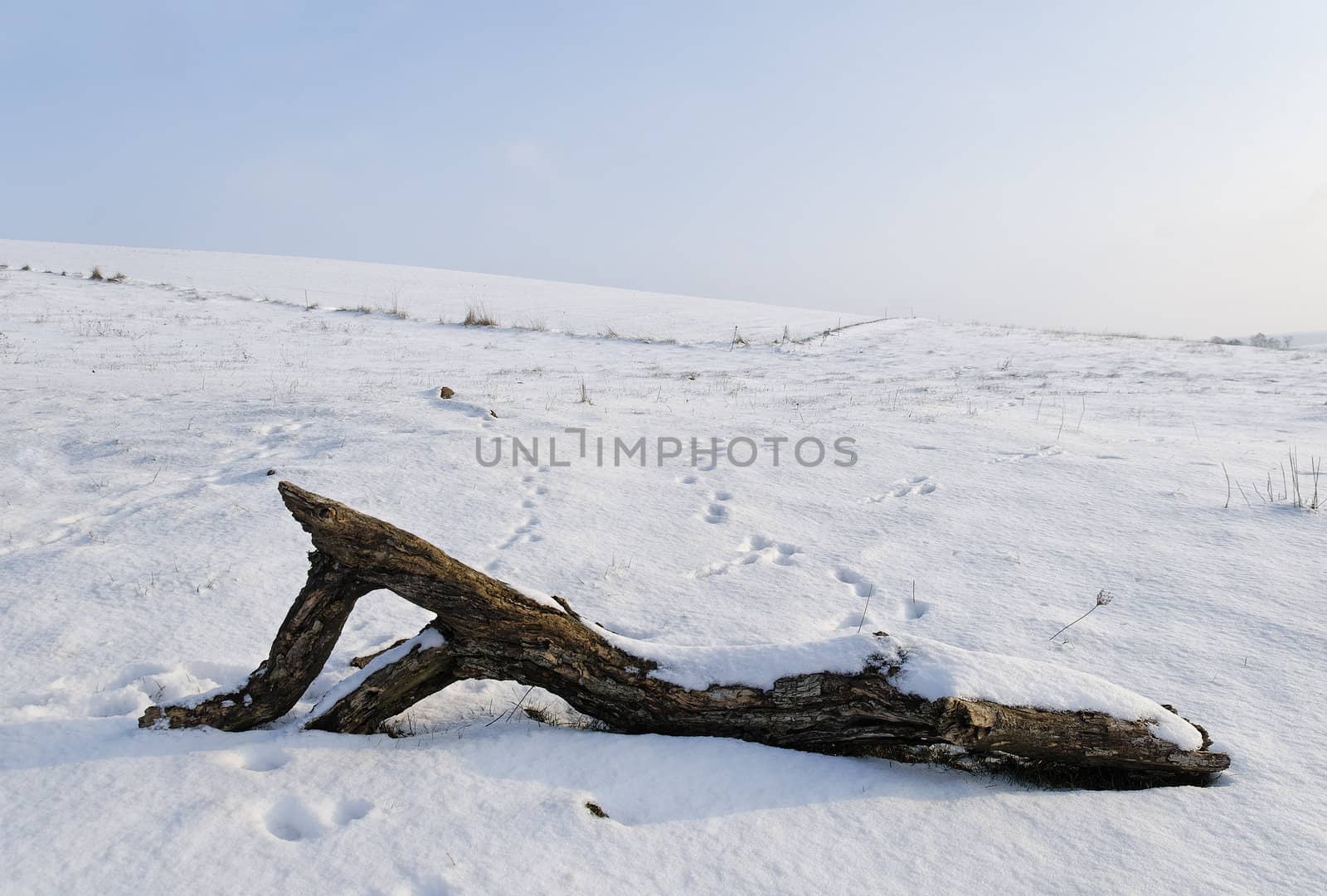 a field  covered with snow