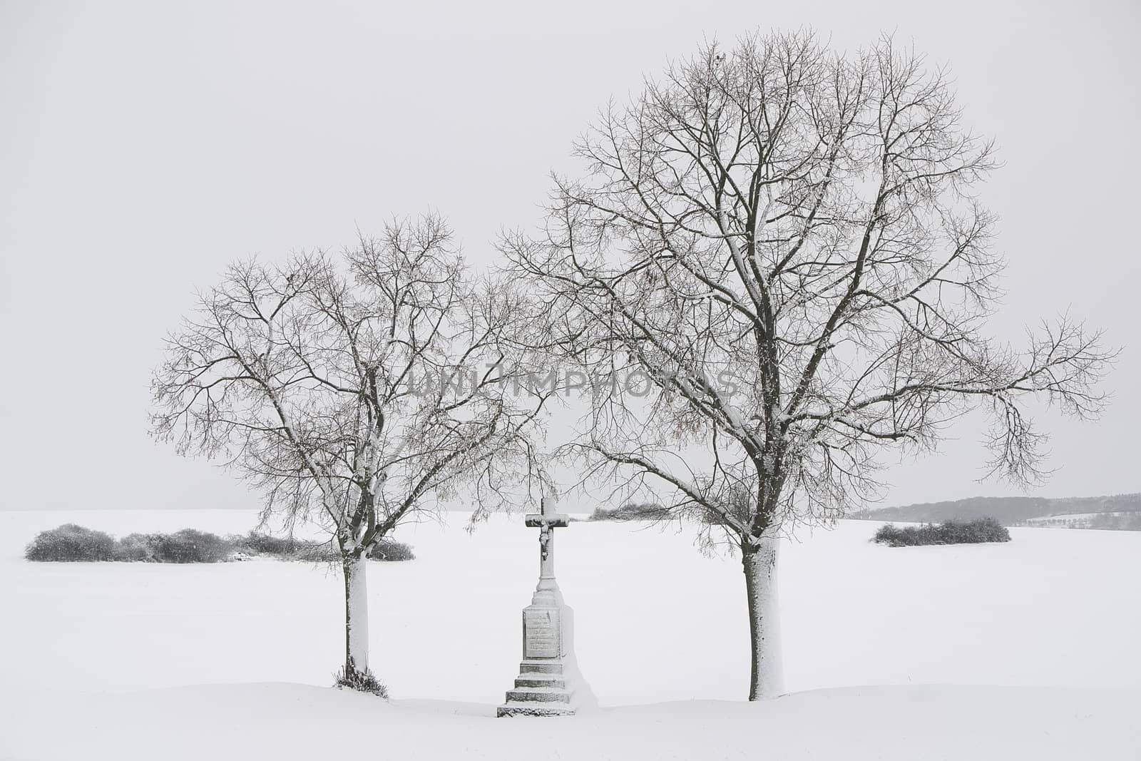 a calvary between two trees covered with snow