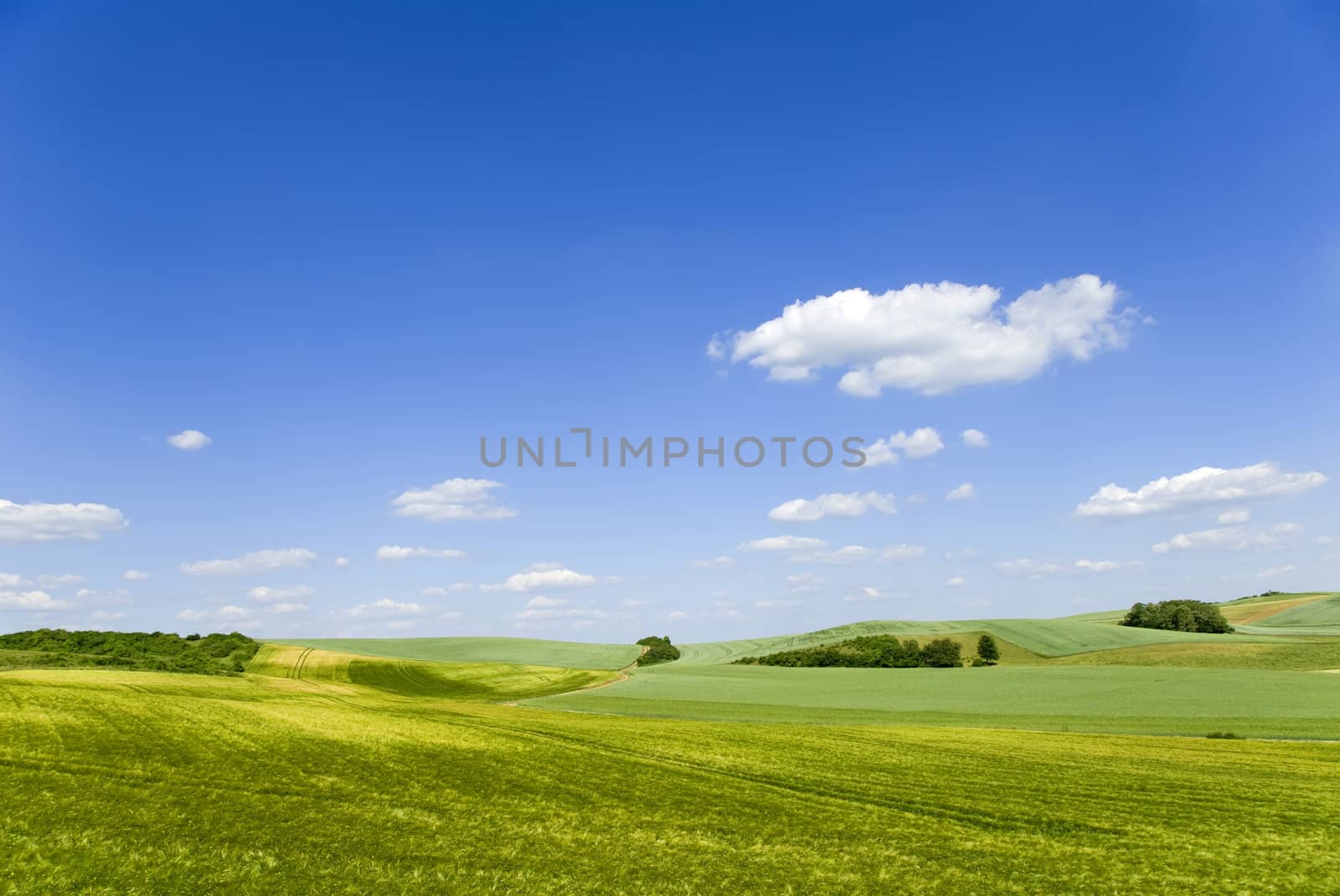 landscape by gufoto