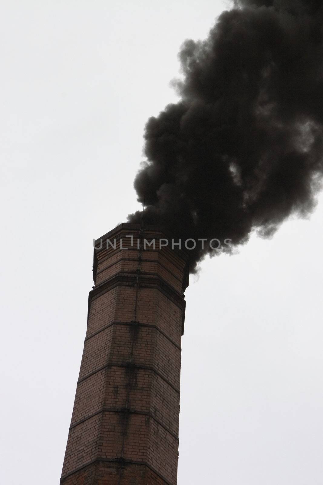 black smoke from a chimney by leafy