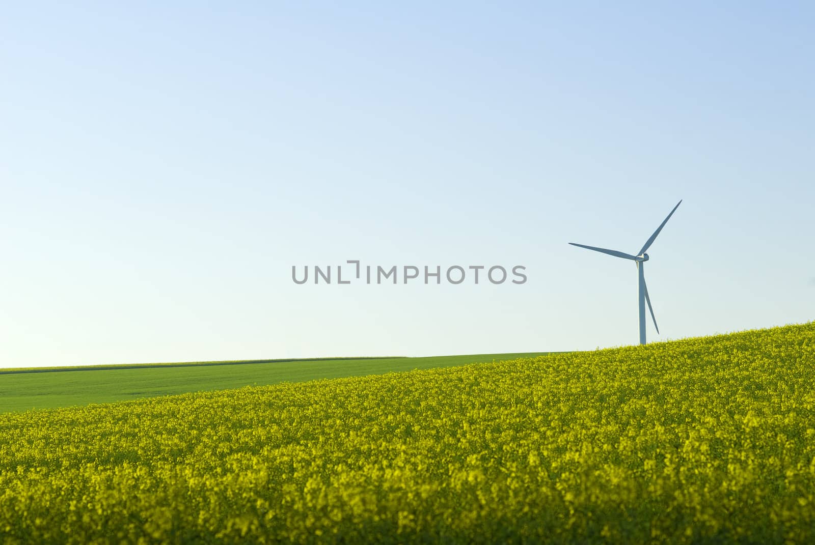 wind turbine and agriculture