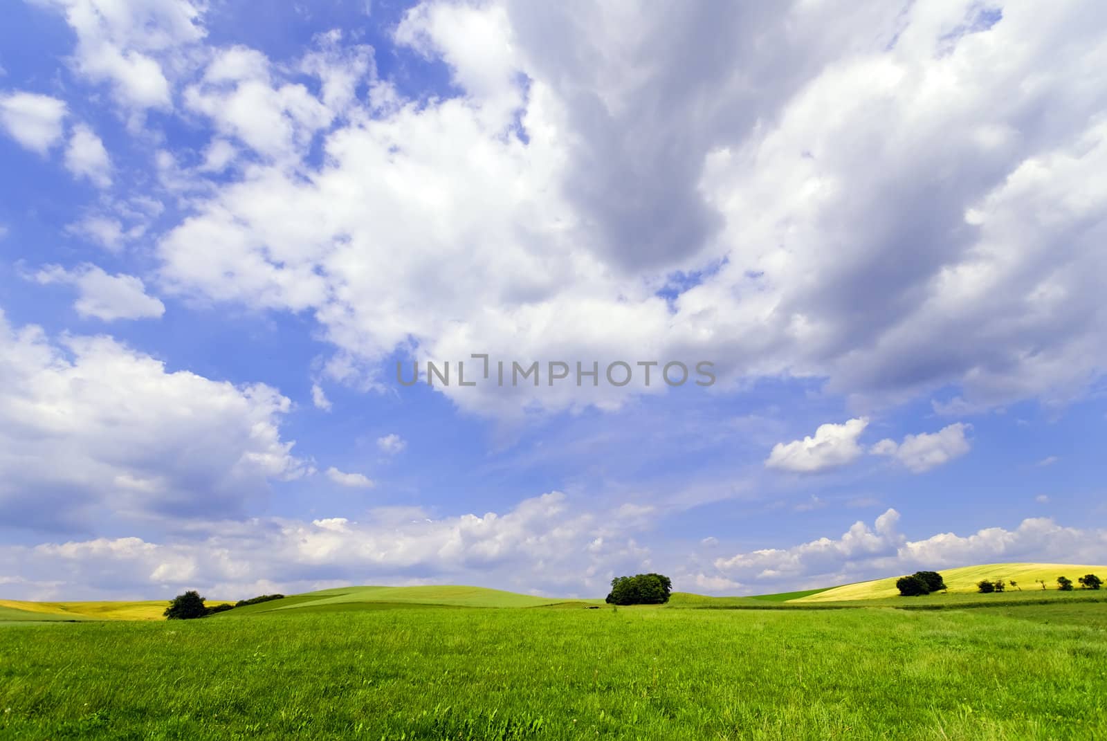 a rural landscape