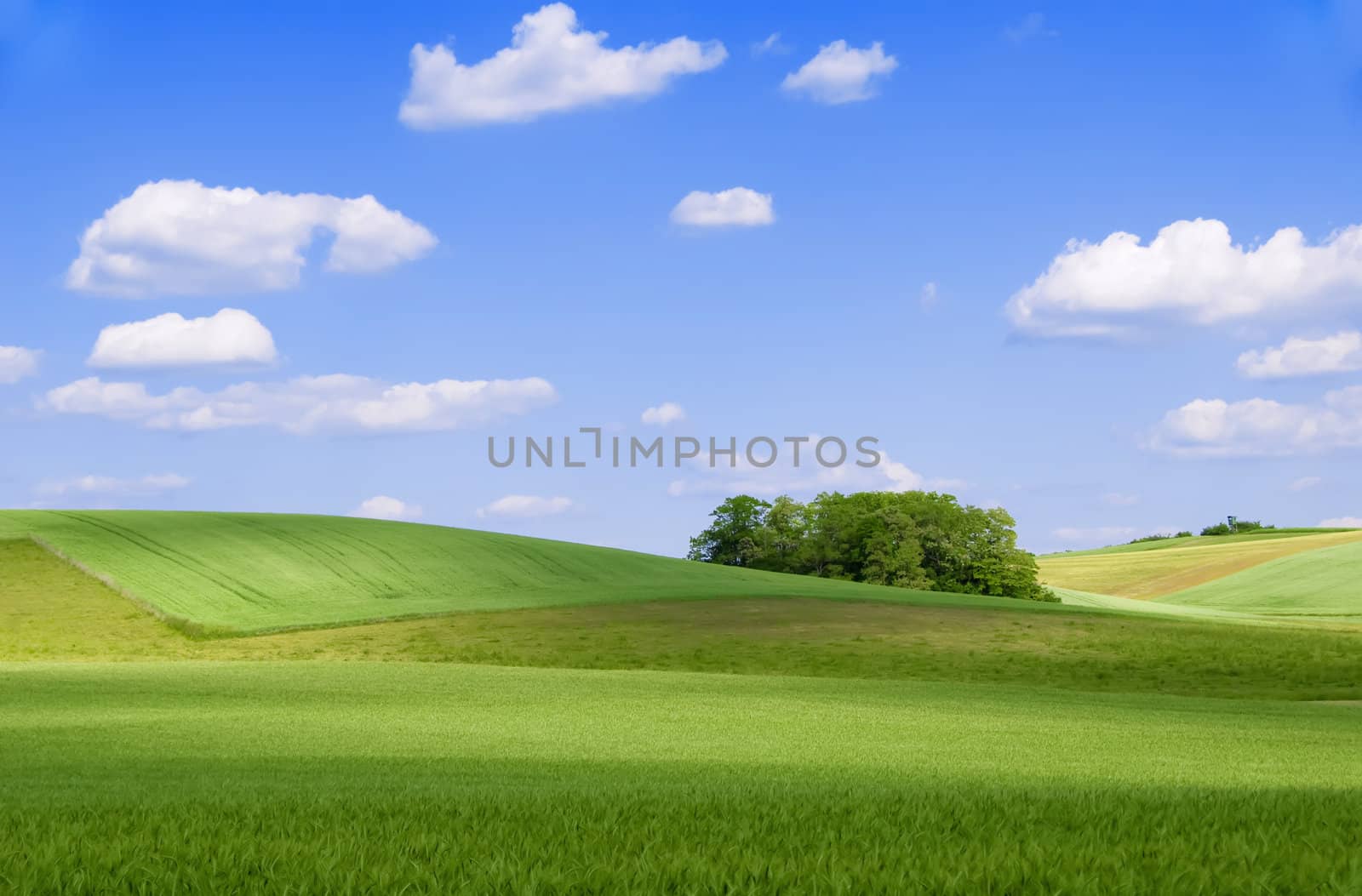 countryside landscape