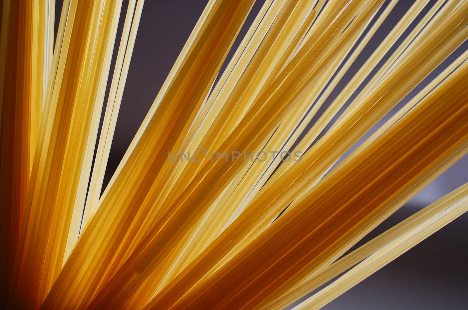 spaghetti pasta arranged as a fan on a dark background