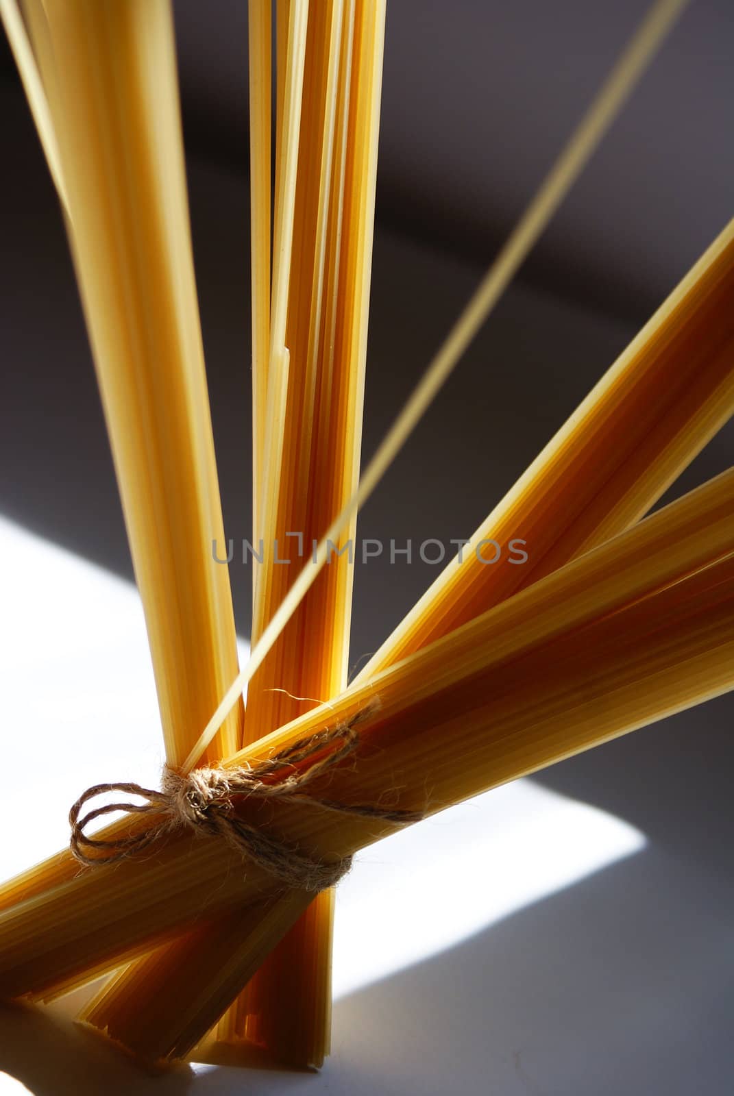 spaghetti pasta tied and sunlit against purple background