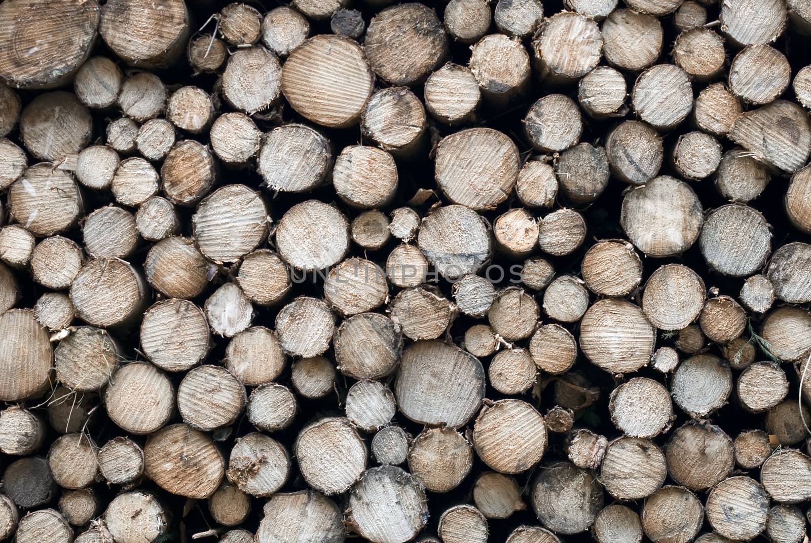 a stack of firewood