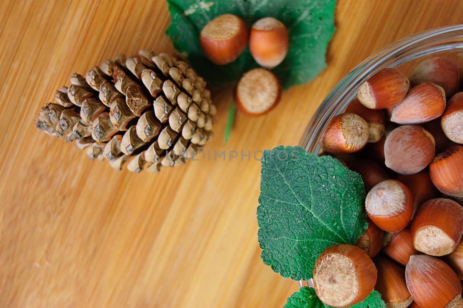 Hazelnuts and cone, autumn gifts