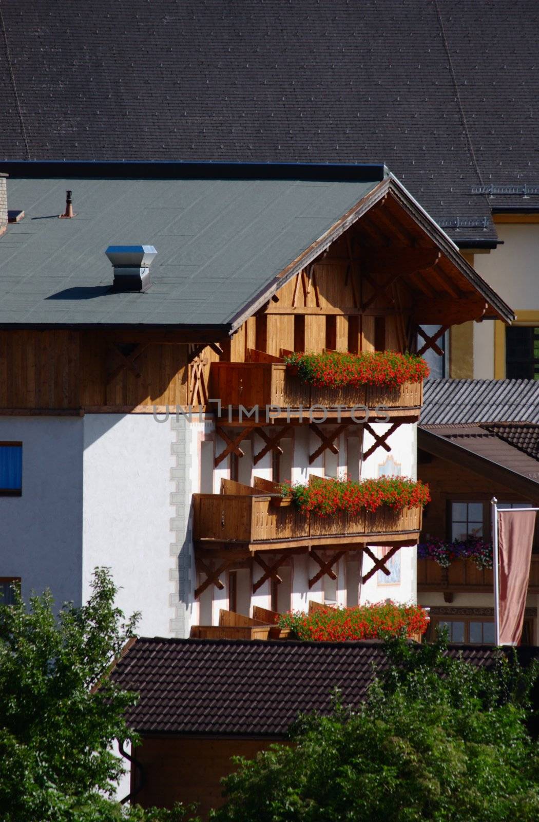 Typical chalet in Neustift / Tyrol / Austria