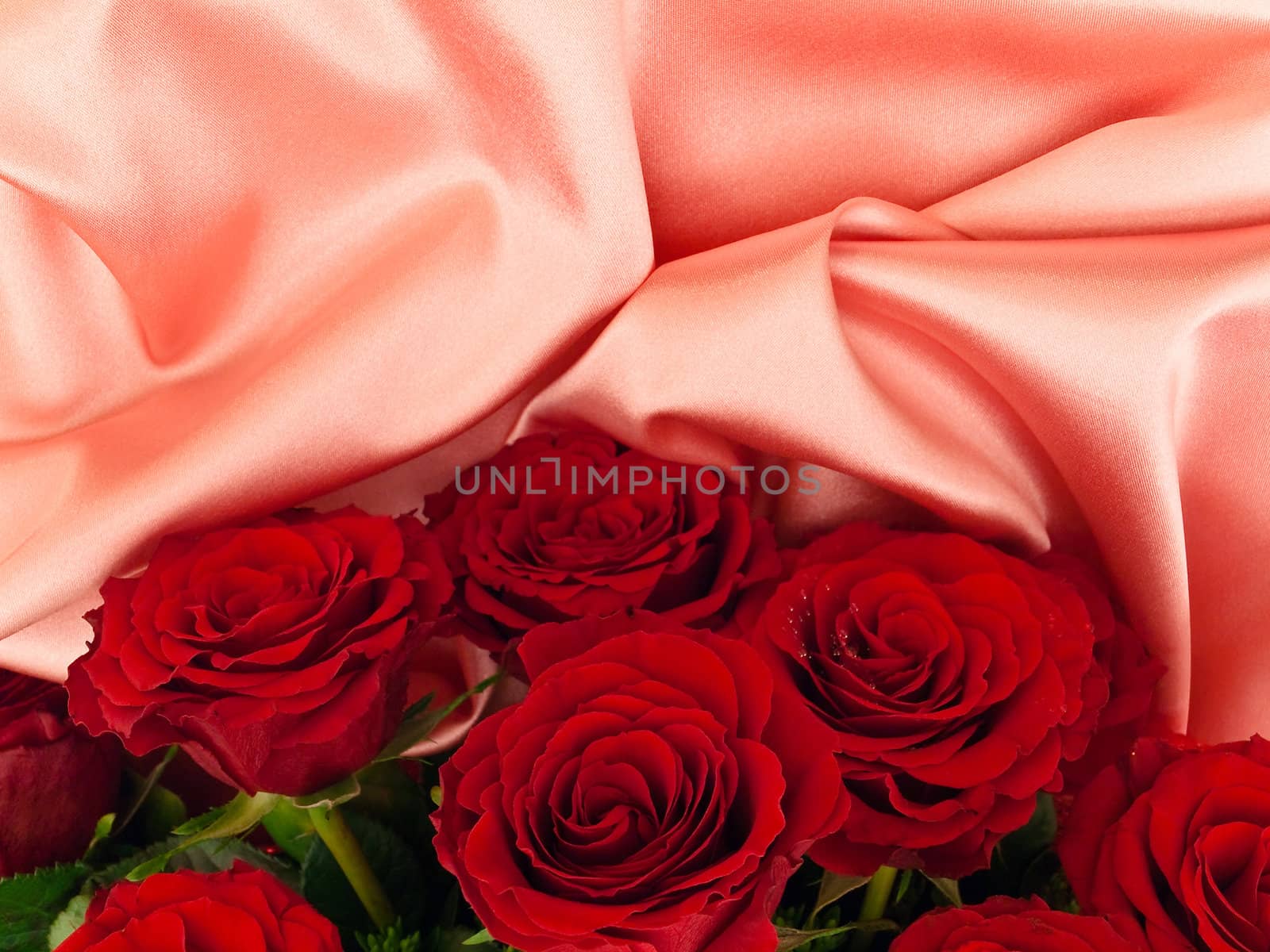 Red beautiful roses on a pink silk fabric 