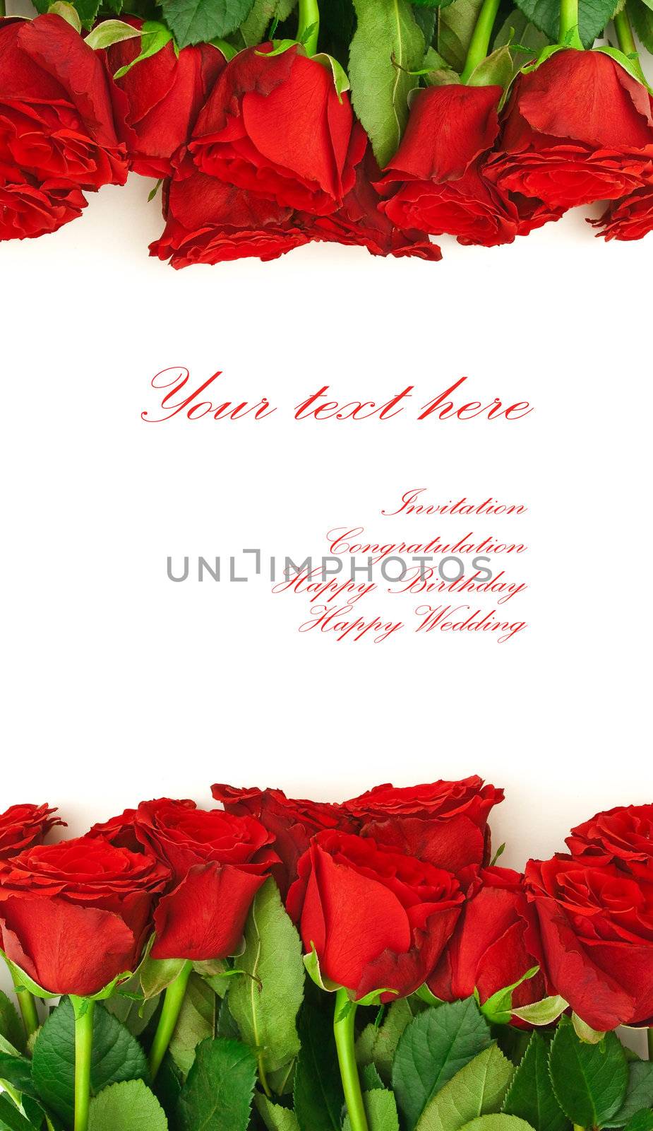 template for the invitation cards with red roses  