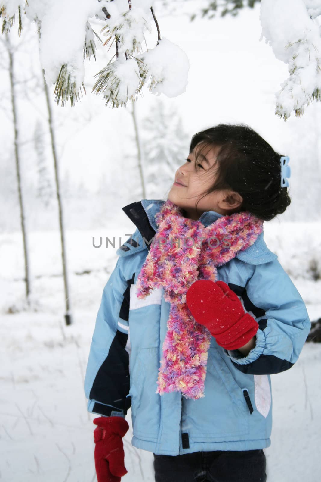 Little girl standing under snow covered trees in winter