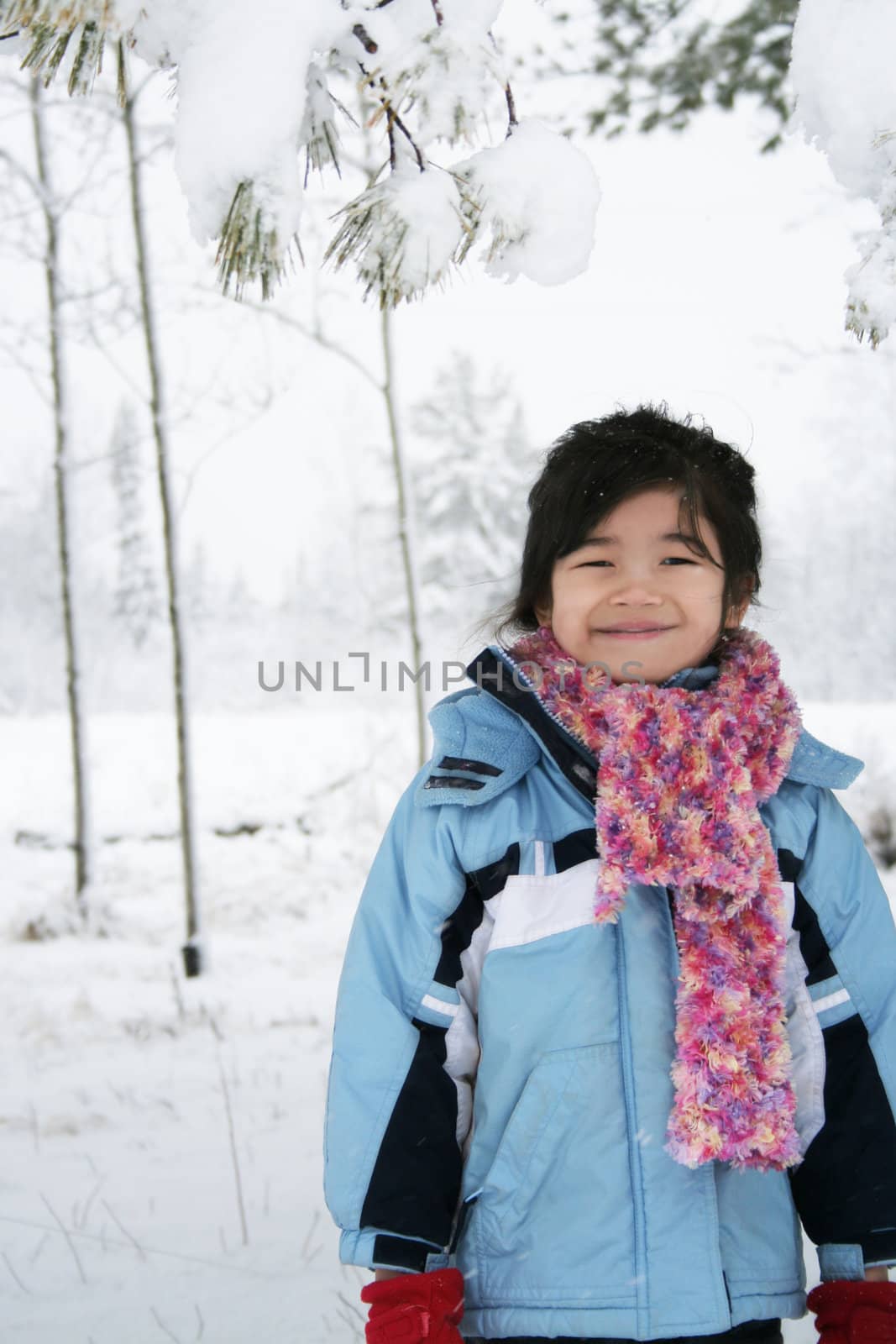 Little girl standing under snow covered trees in winter