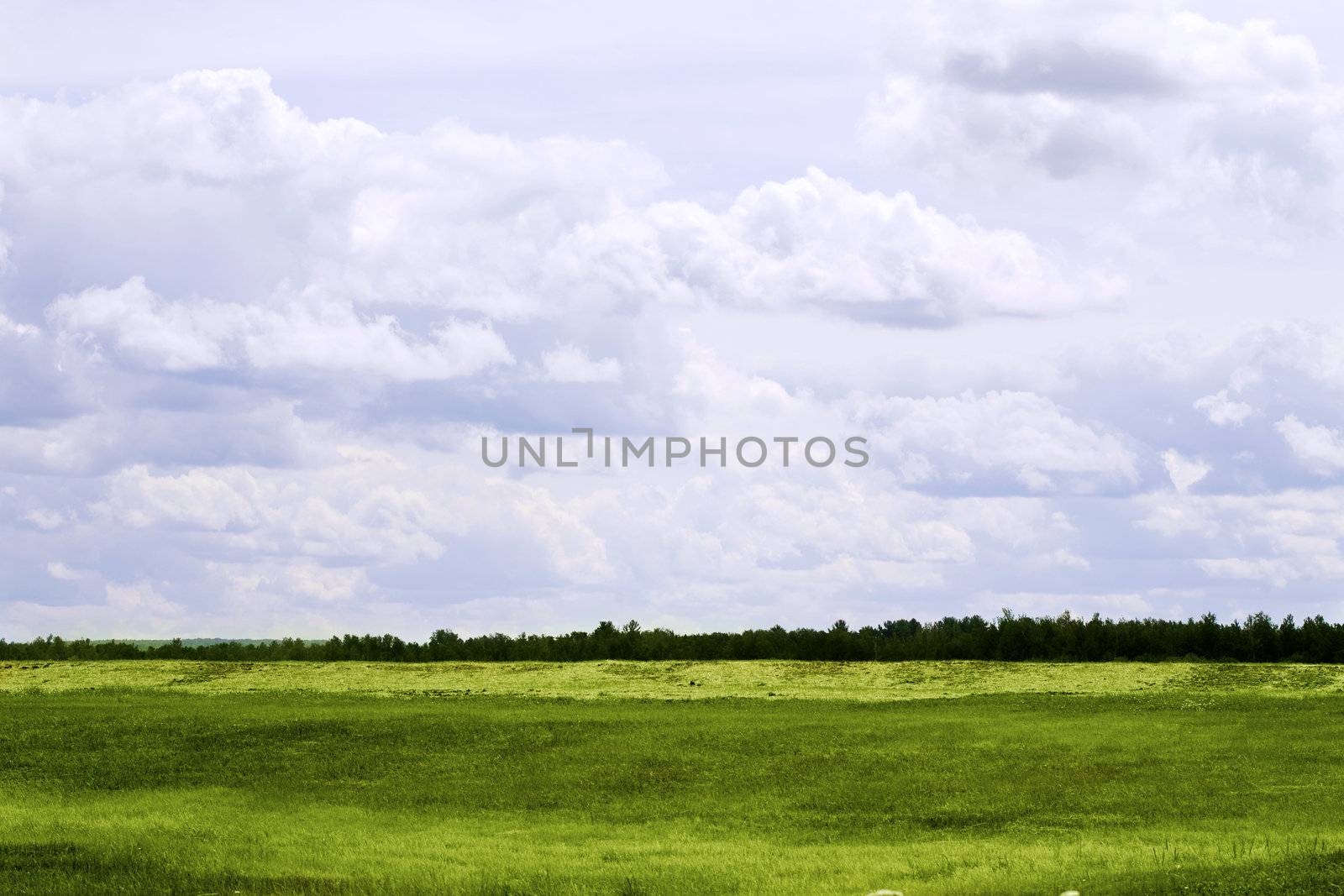 Beautiful clouds over green and yellow field