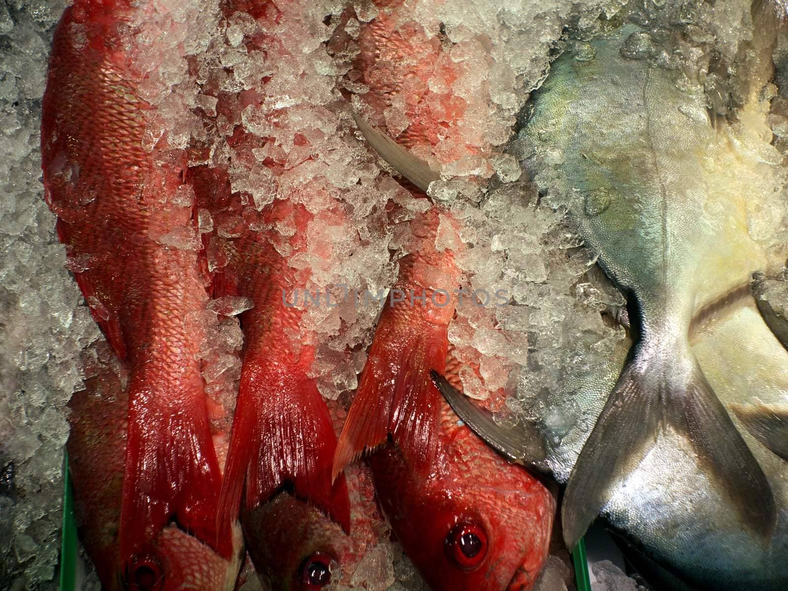 Fish store in California.