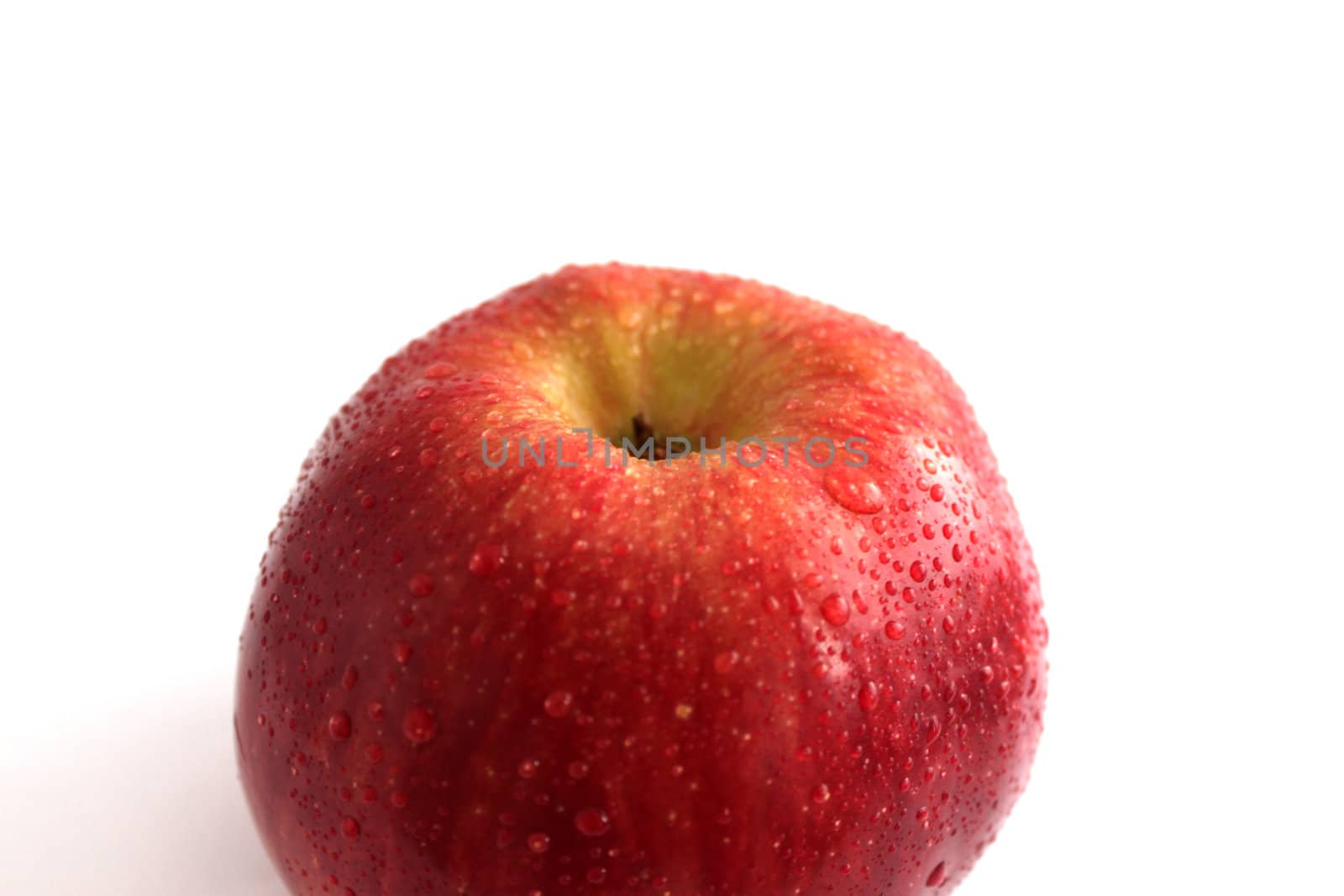 wet red apple isolated on white background