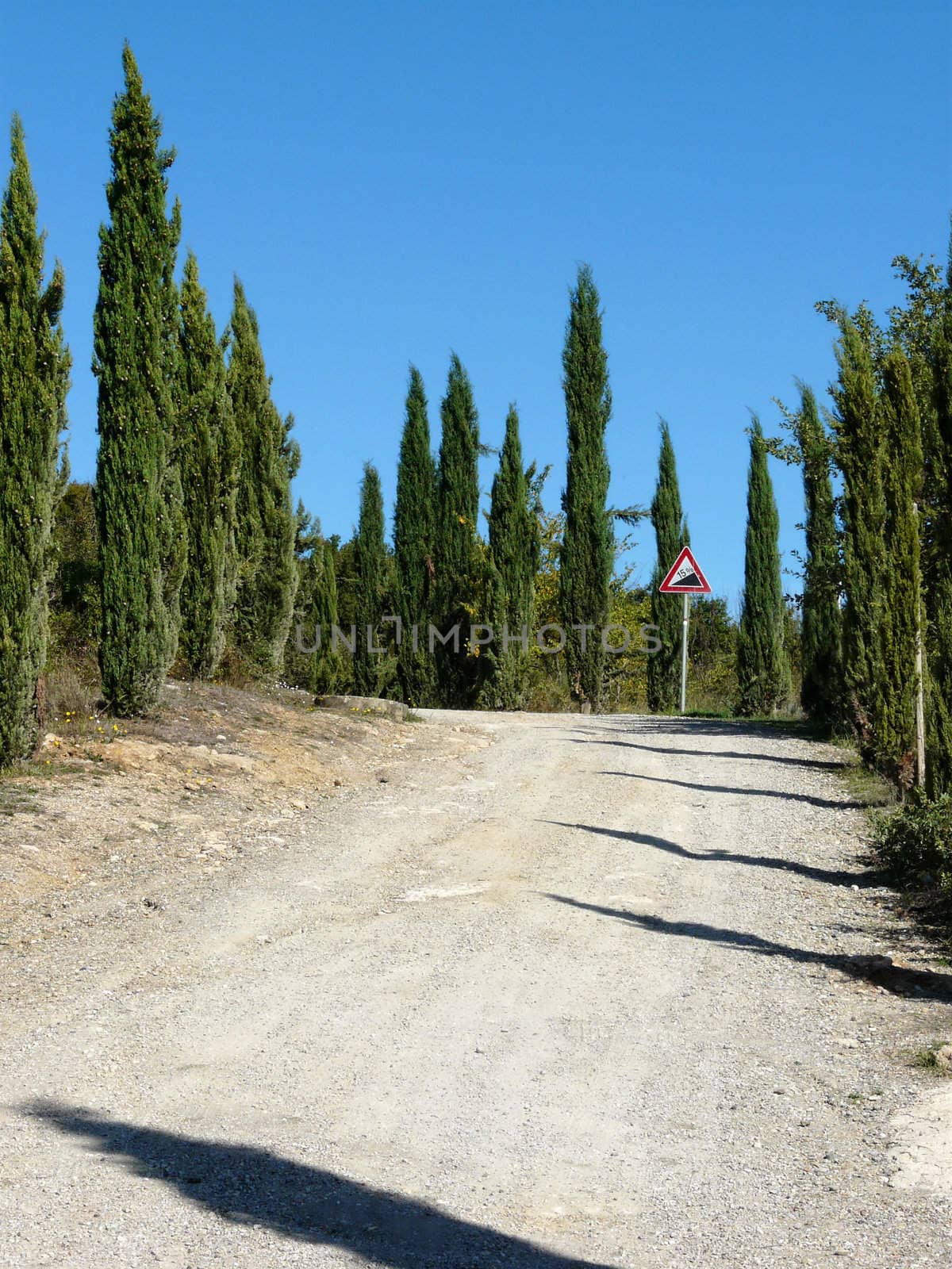 Dirt road in Italy lined with cypress trees.