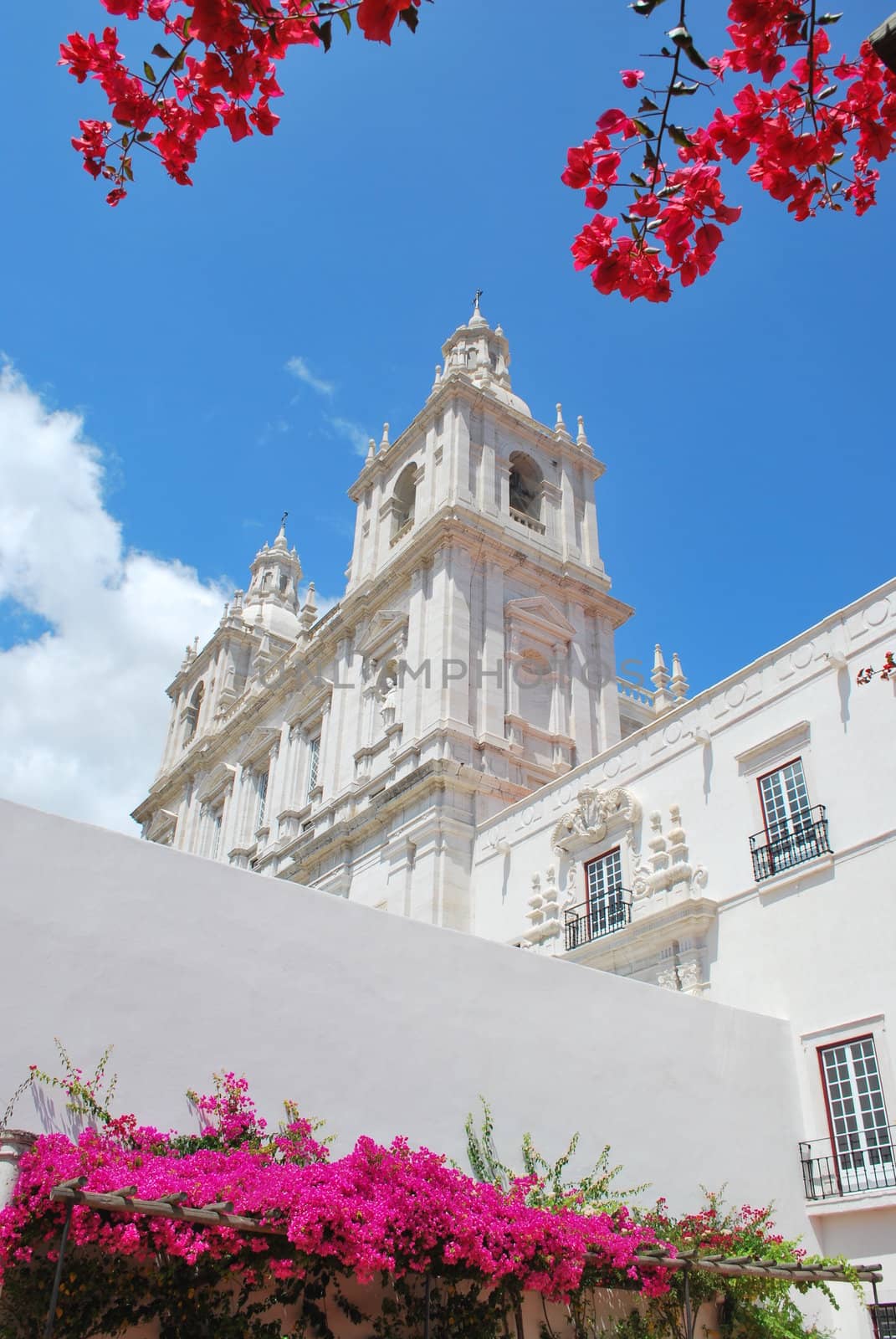 famous Santa Engracia church in Lisbon from the 17th century (flower frame)