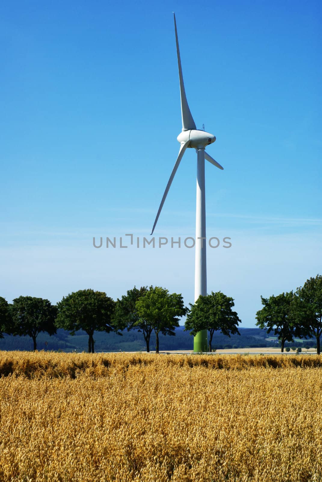 A windmill standing in a beautiful piece of nature.