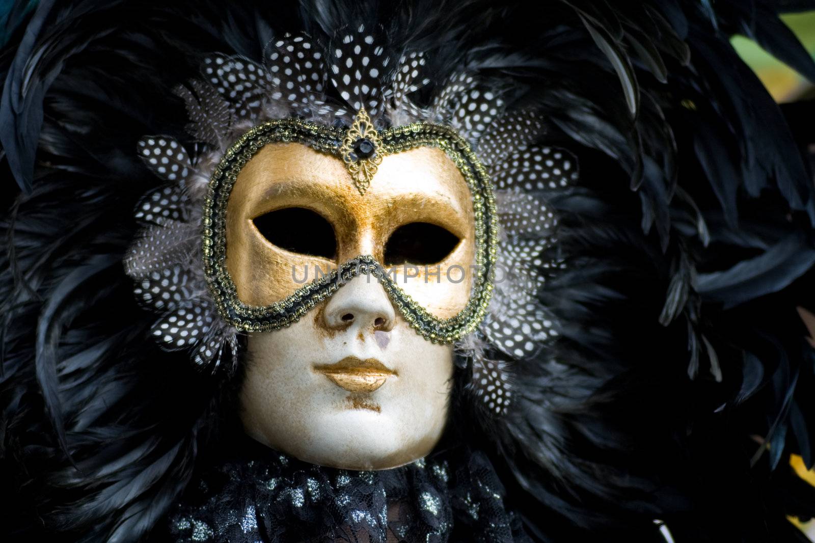 Carnival in venice with model dressed in various costumes and masks - black man