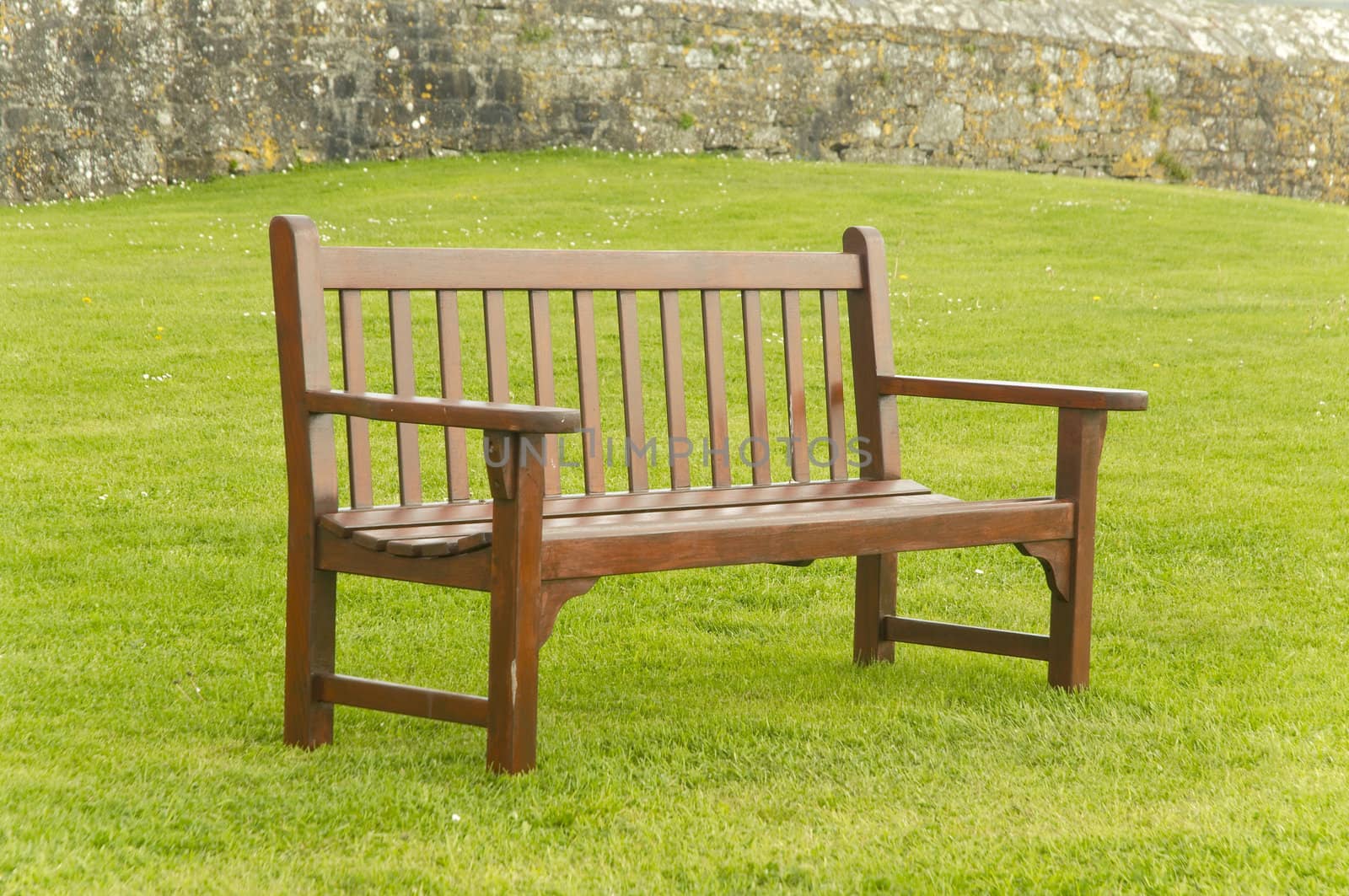 Enpty wooden bench by the garden