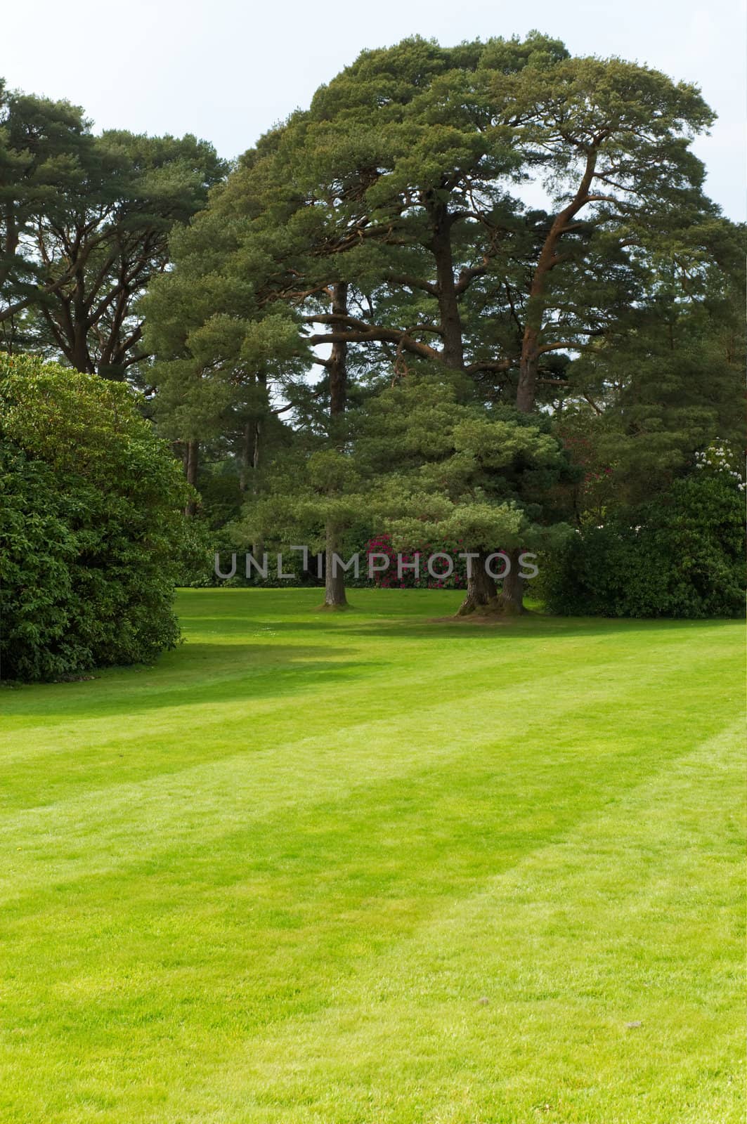 Gardens of Mucross Estate, Ireland
