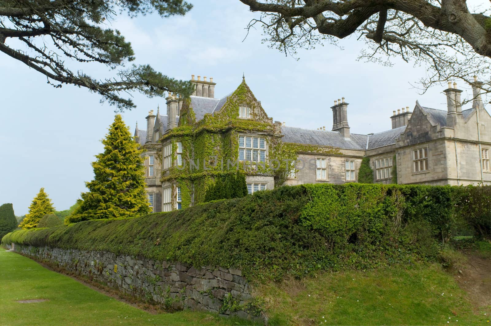 View of Muckross estate, Ireland